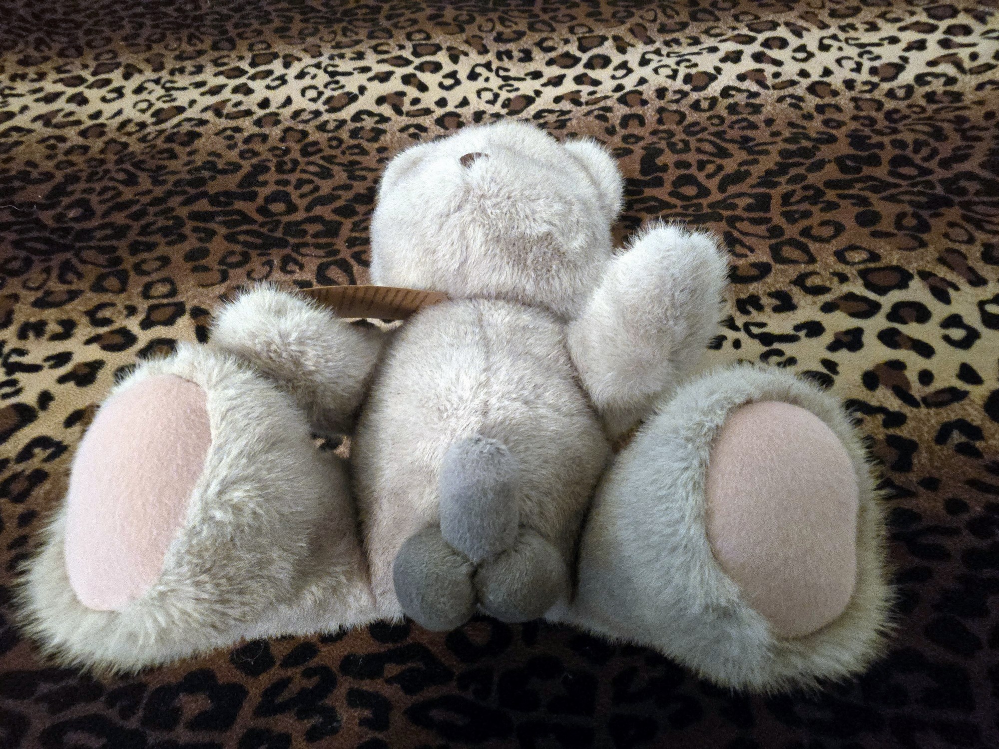 20250201_210013 (Copy)