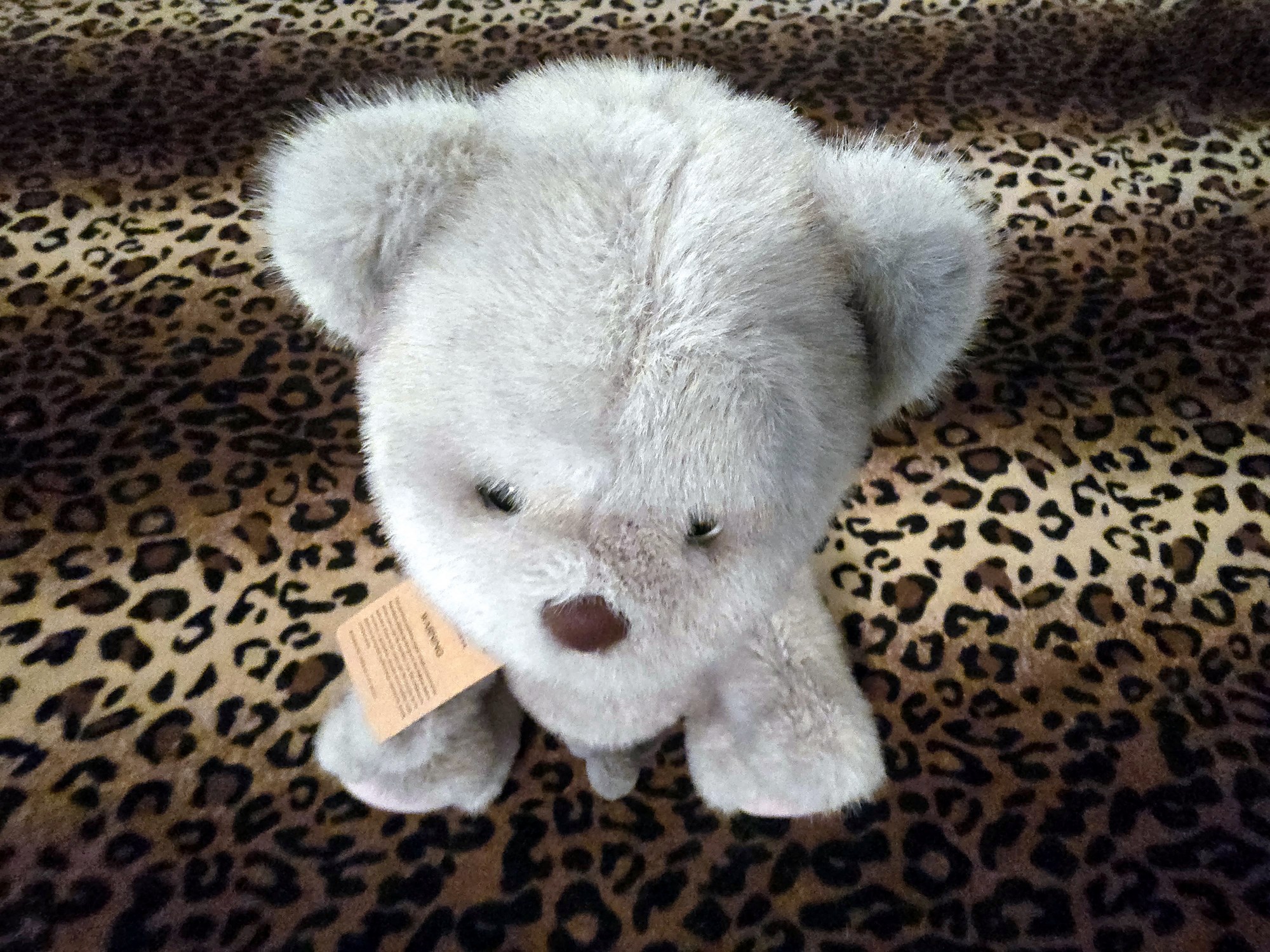 20250201_210018 (Copy)