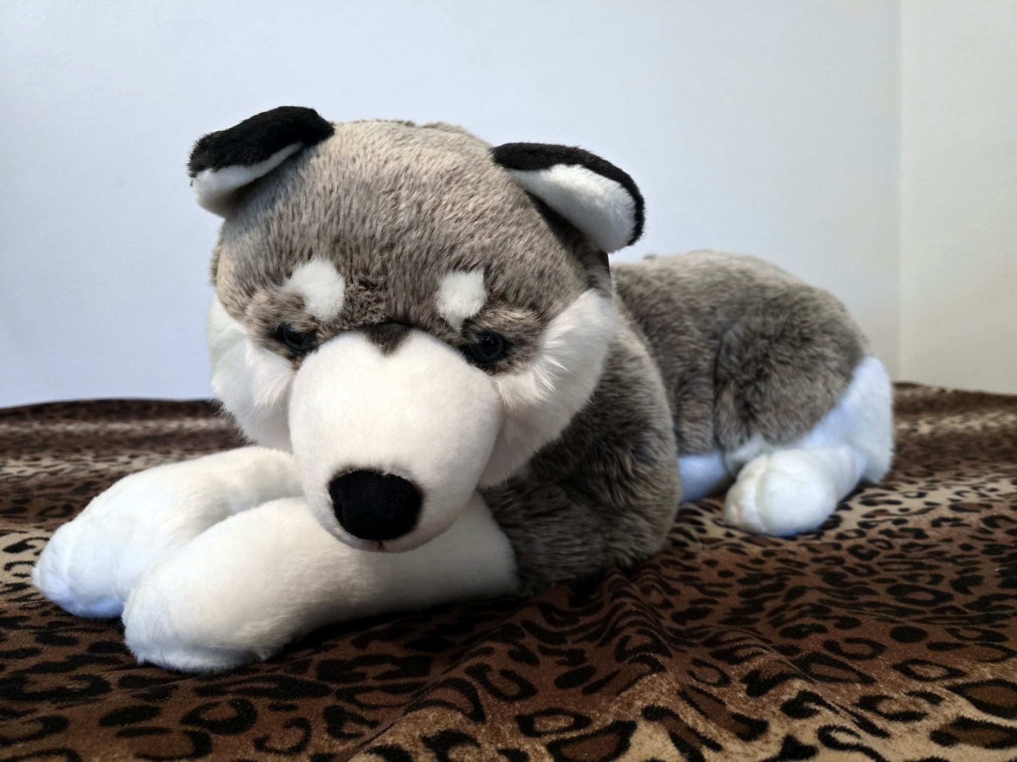 20250305_150825 (Copy)