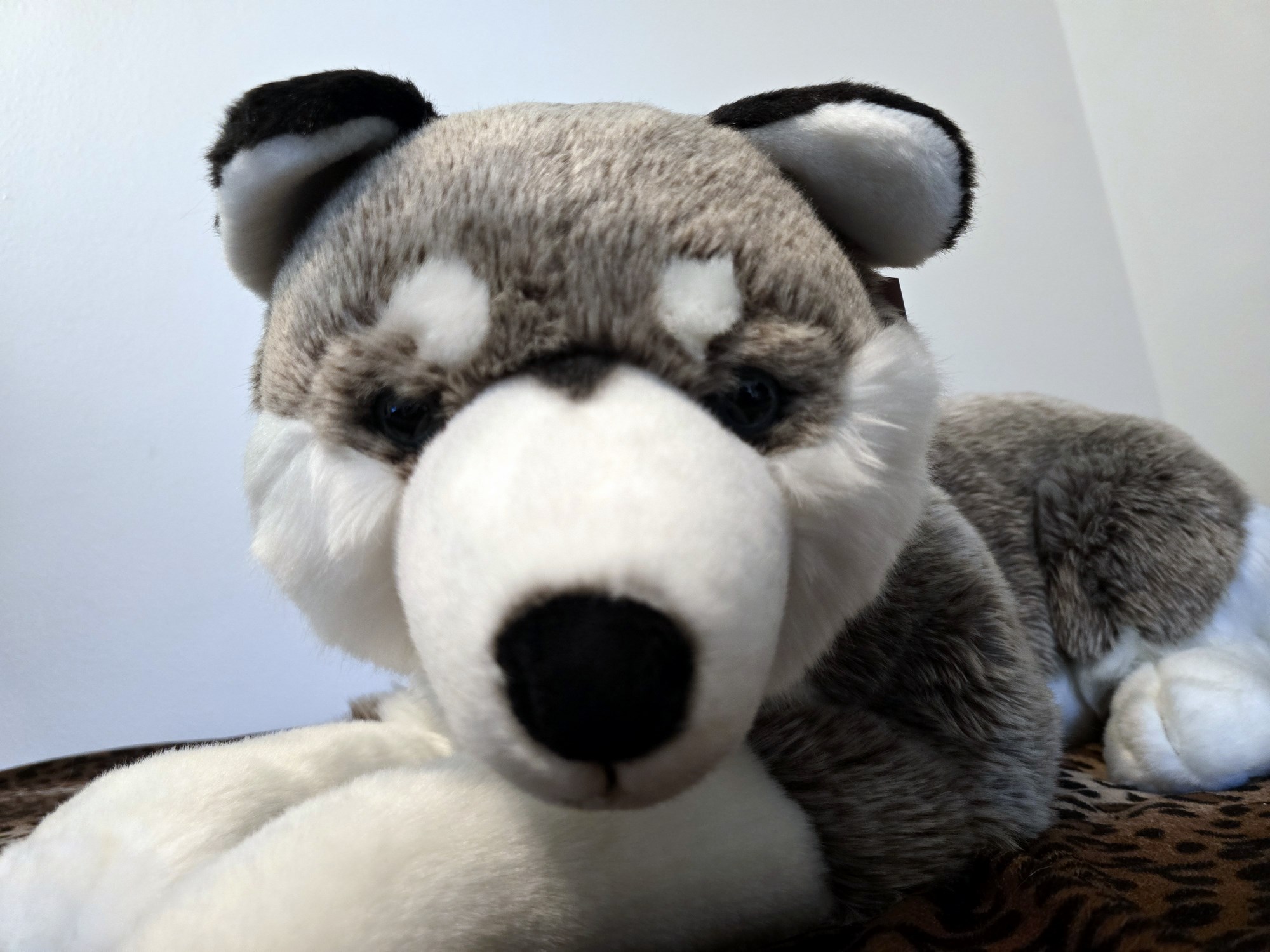 20250305_150827 (Copy)