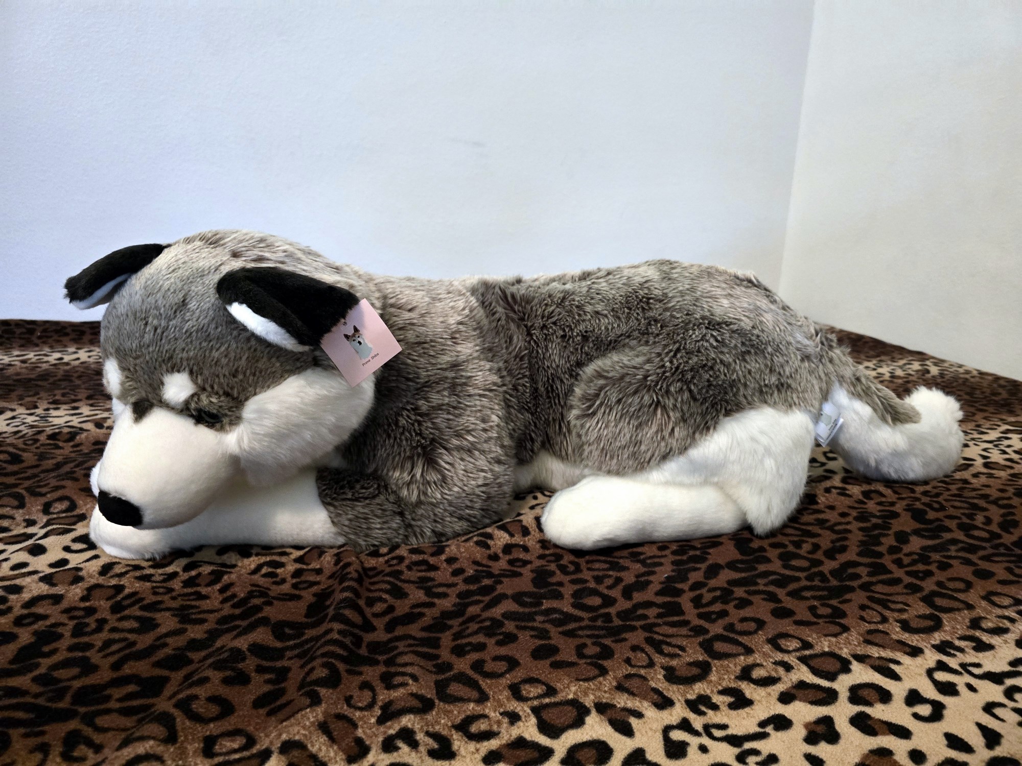 20250305_150836 (Copy)