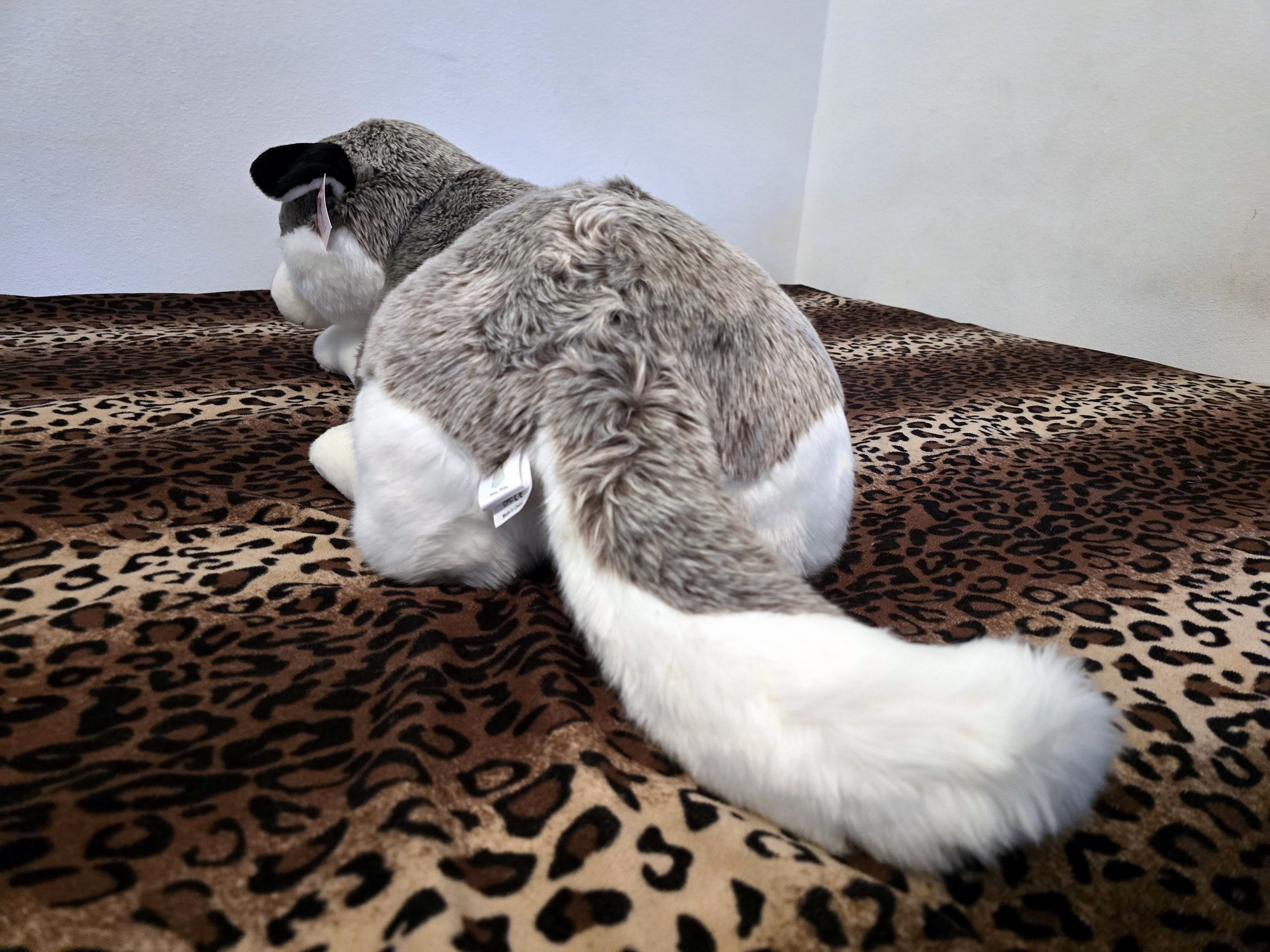 20250305_150844 (Copy)