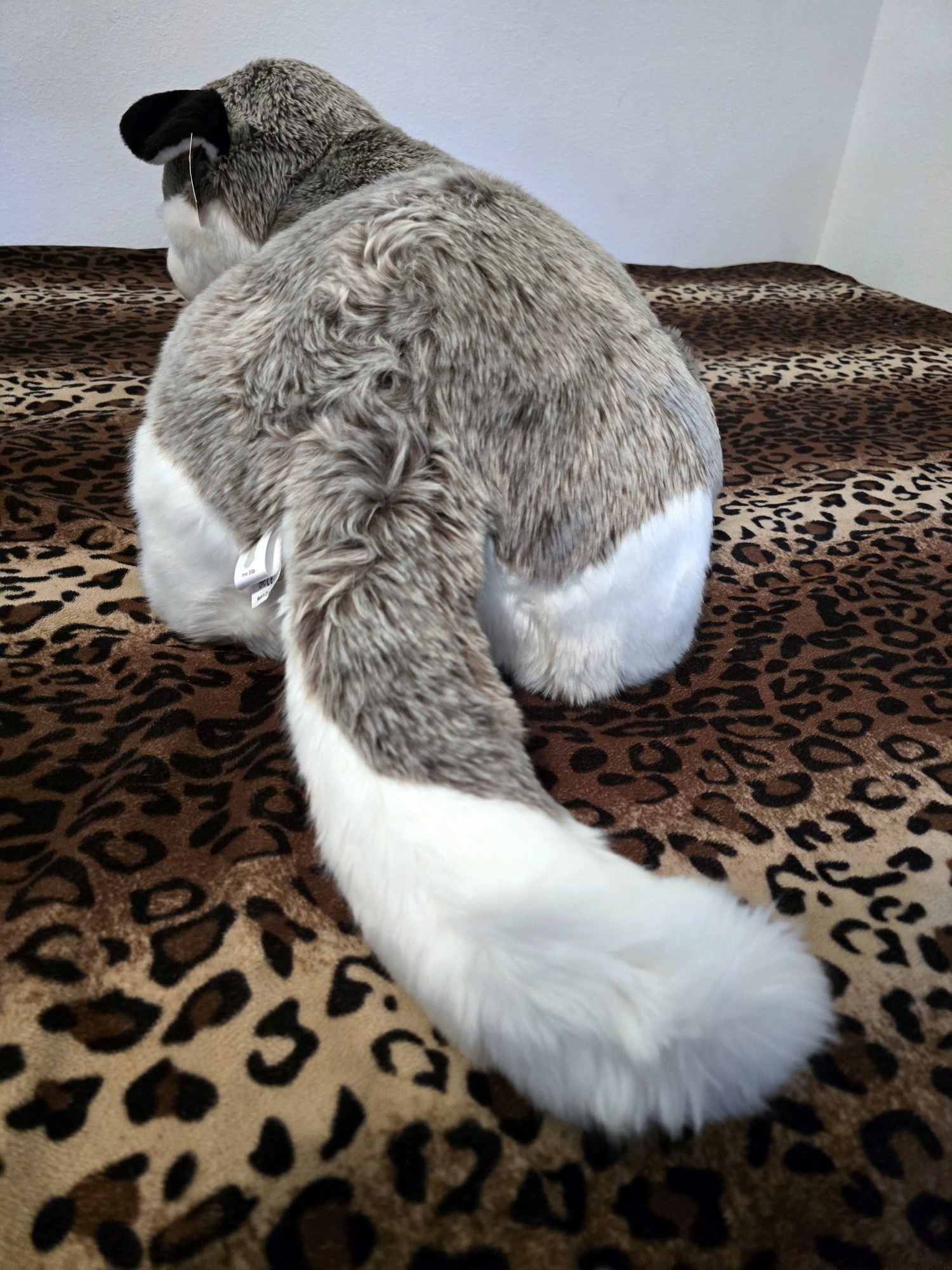 20250305_150848 (Copy)