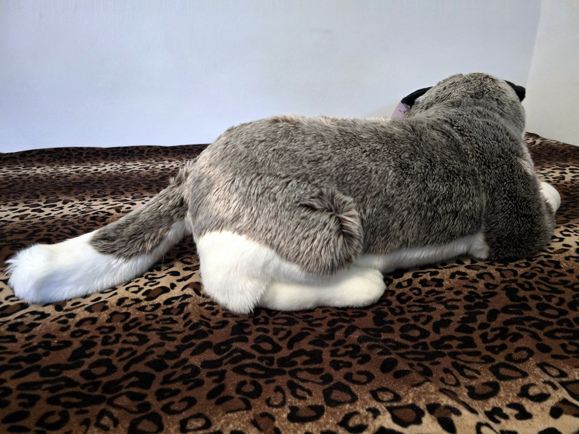 20250305_150901 (Copy)