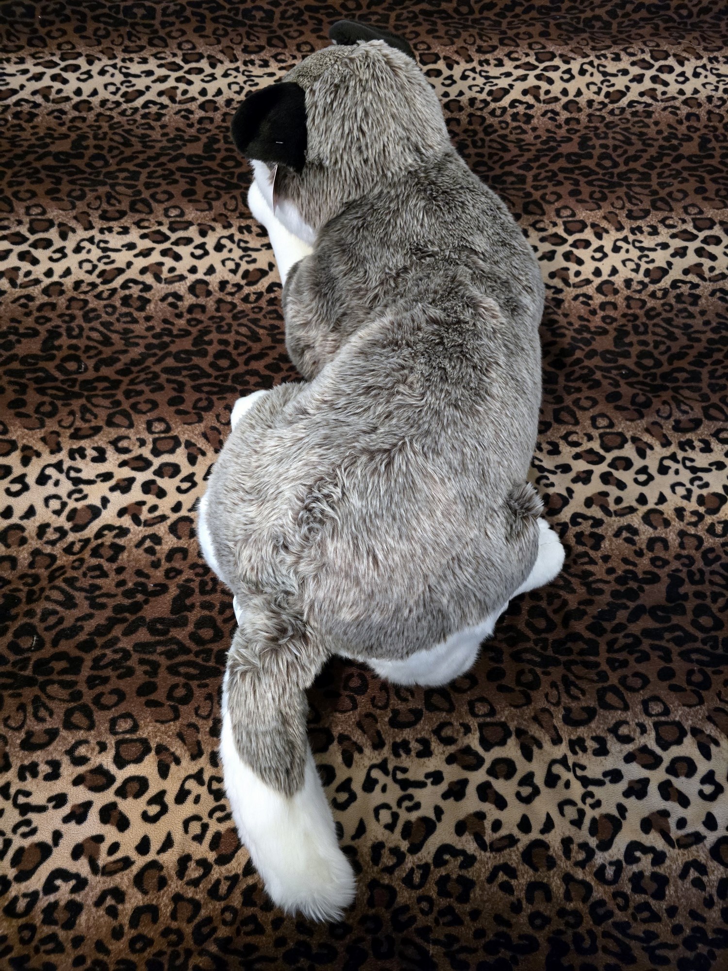 20250305_150934 (Copy)