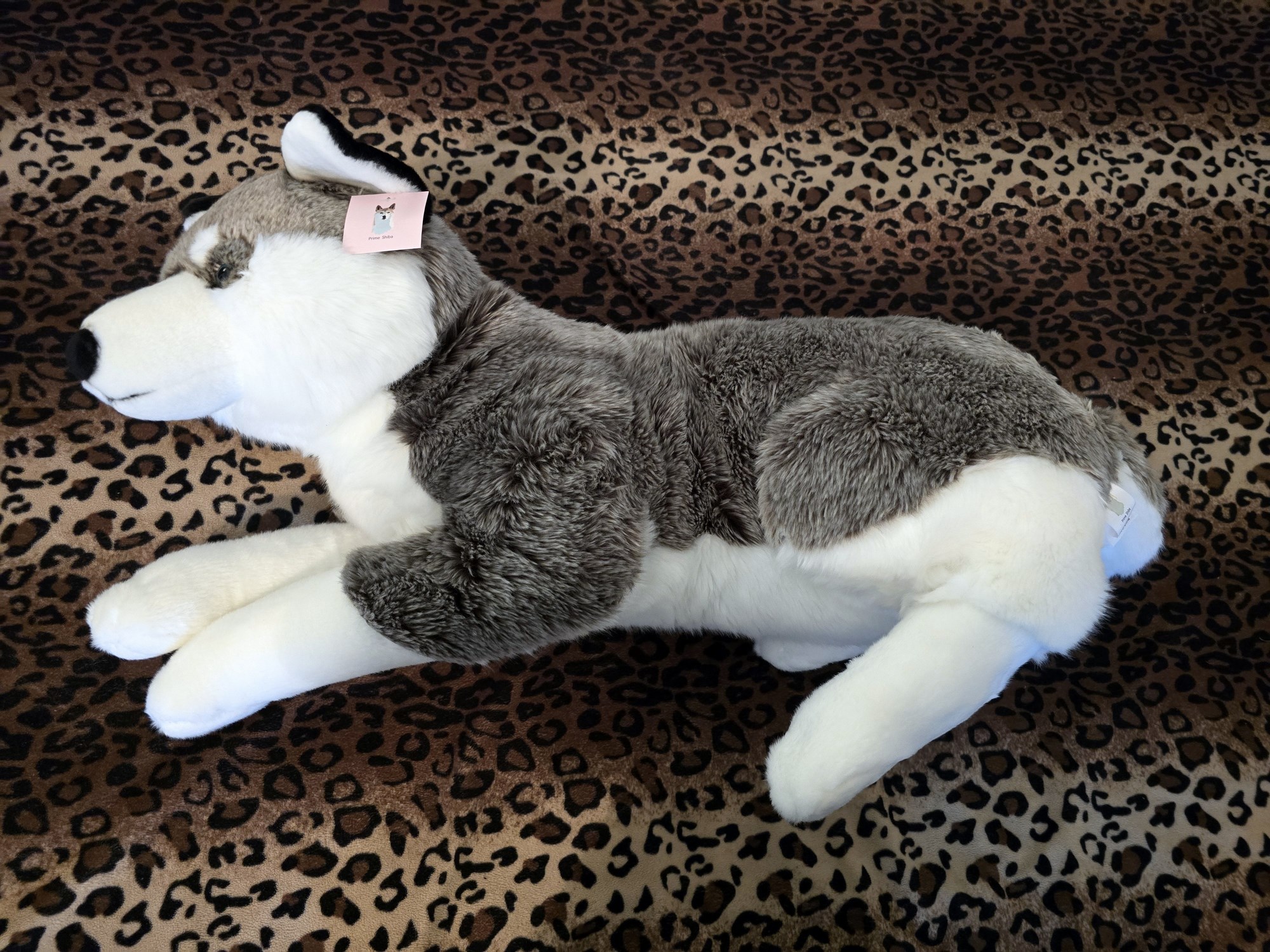 20250305_150946 (Copy)