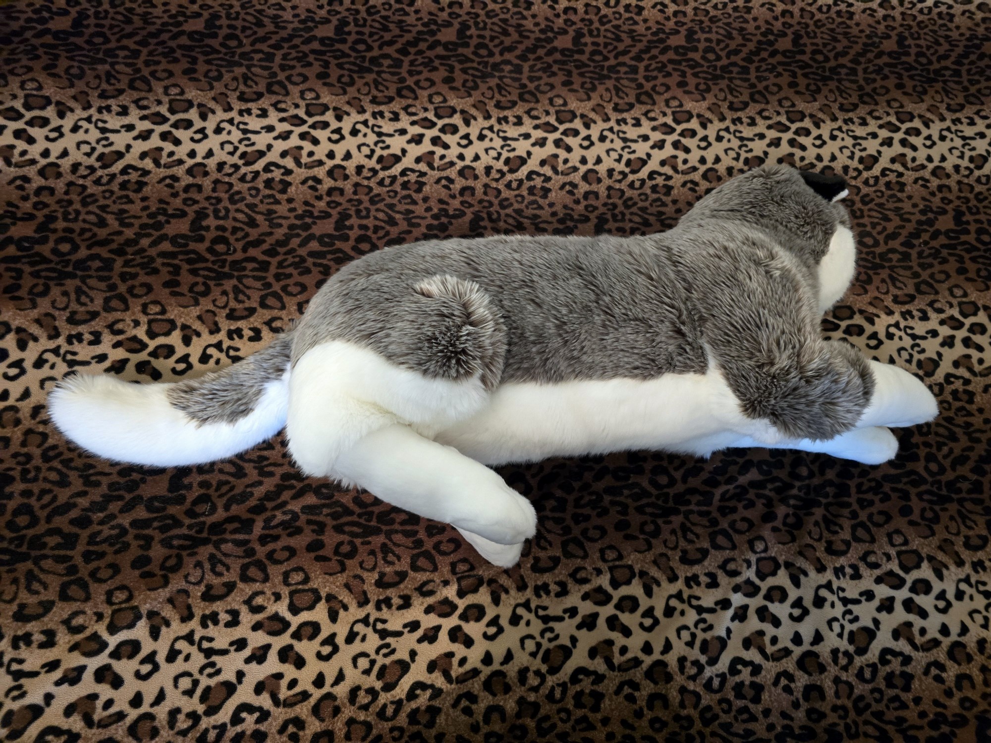 20250305_150953 (Copy)