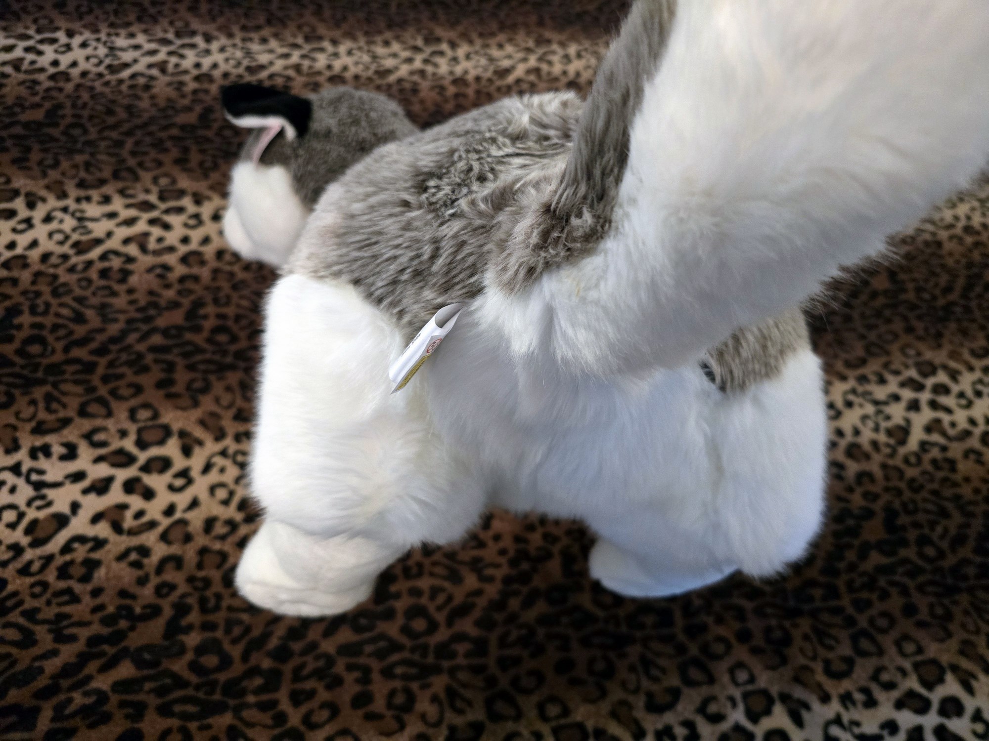 20250305_151003 (Copy)