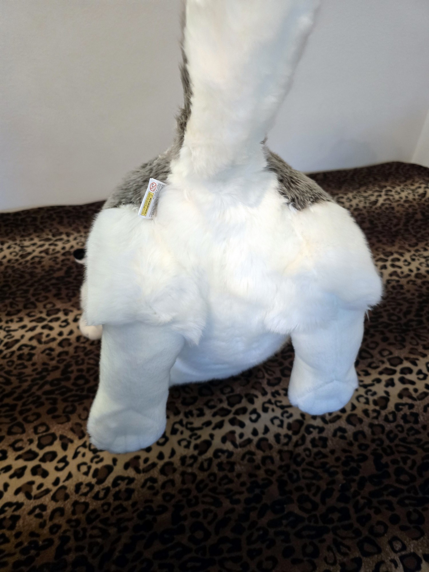 20250305_151009 (Copy)