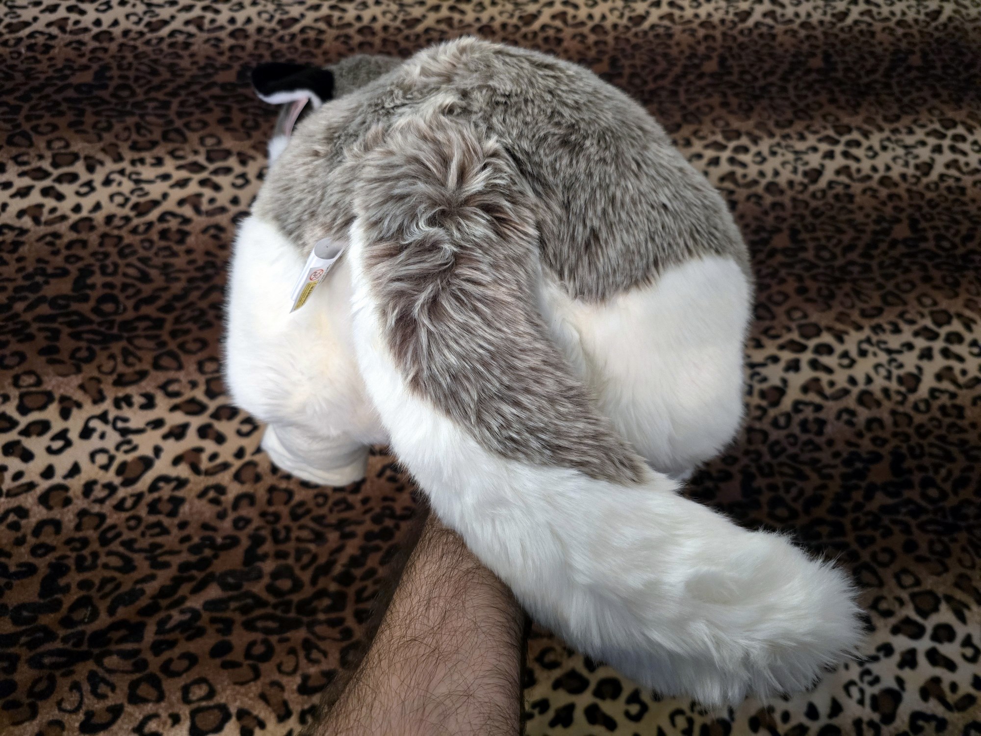 20250305_151018 (Copy)