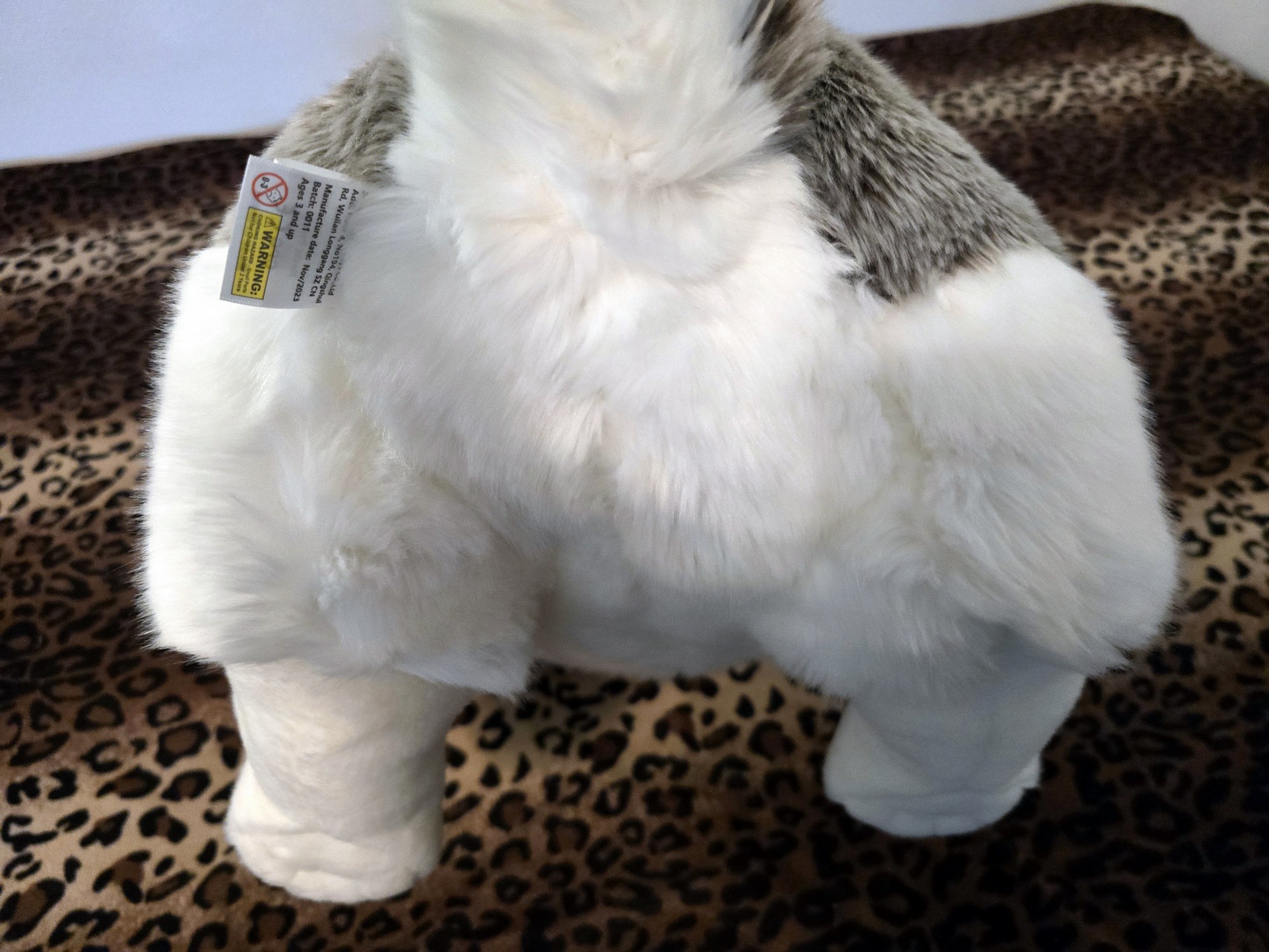 20250305_151023 (Copy)