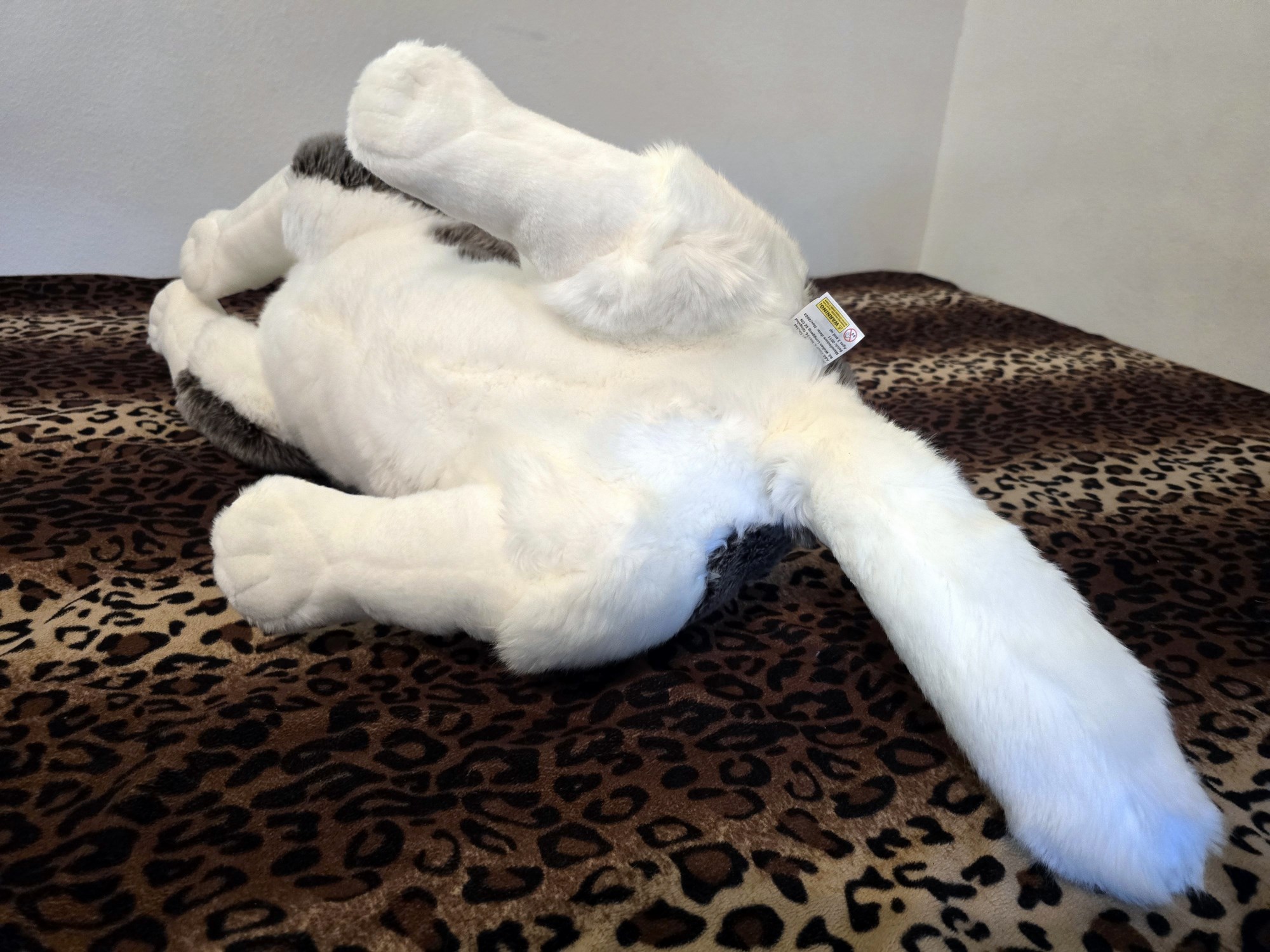 20250305_151031 (Copy)