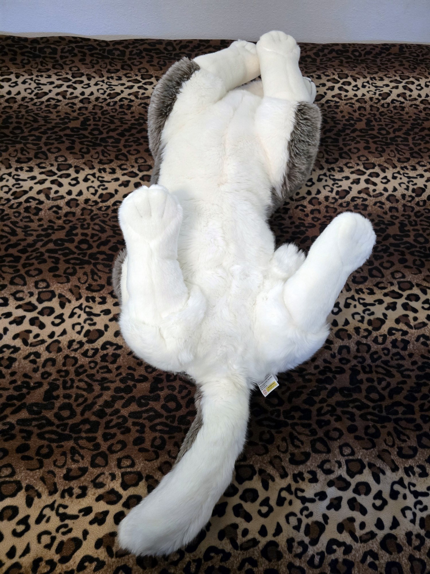 20250305_151042(0) (Copy)