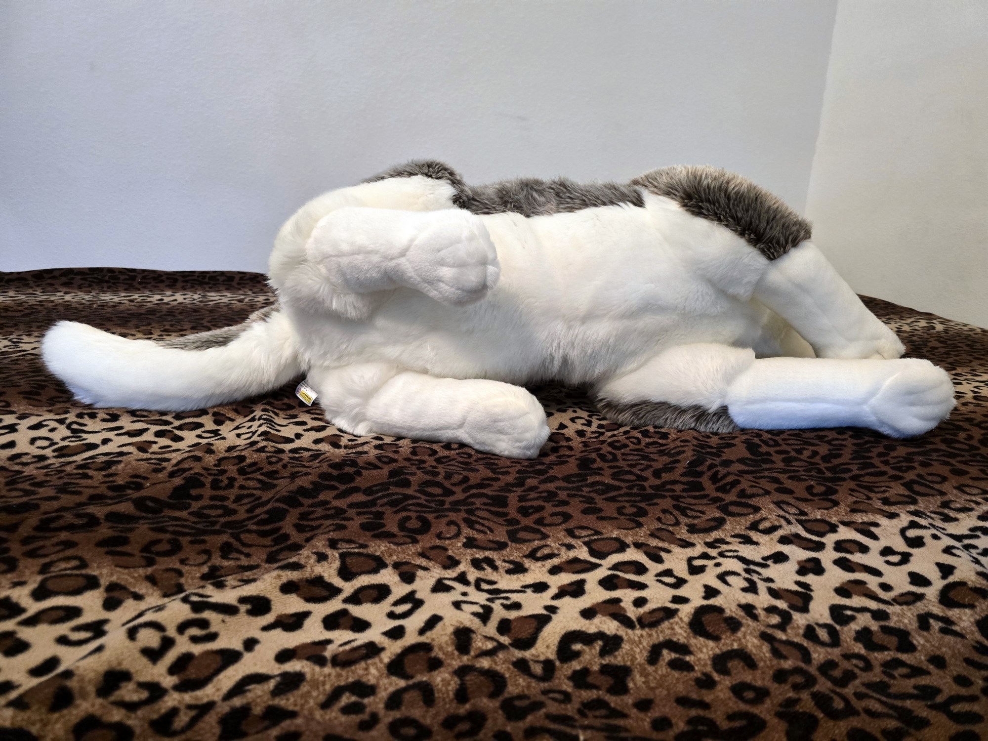 20250305_151056 (Copy)