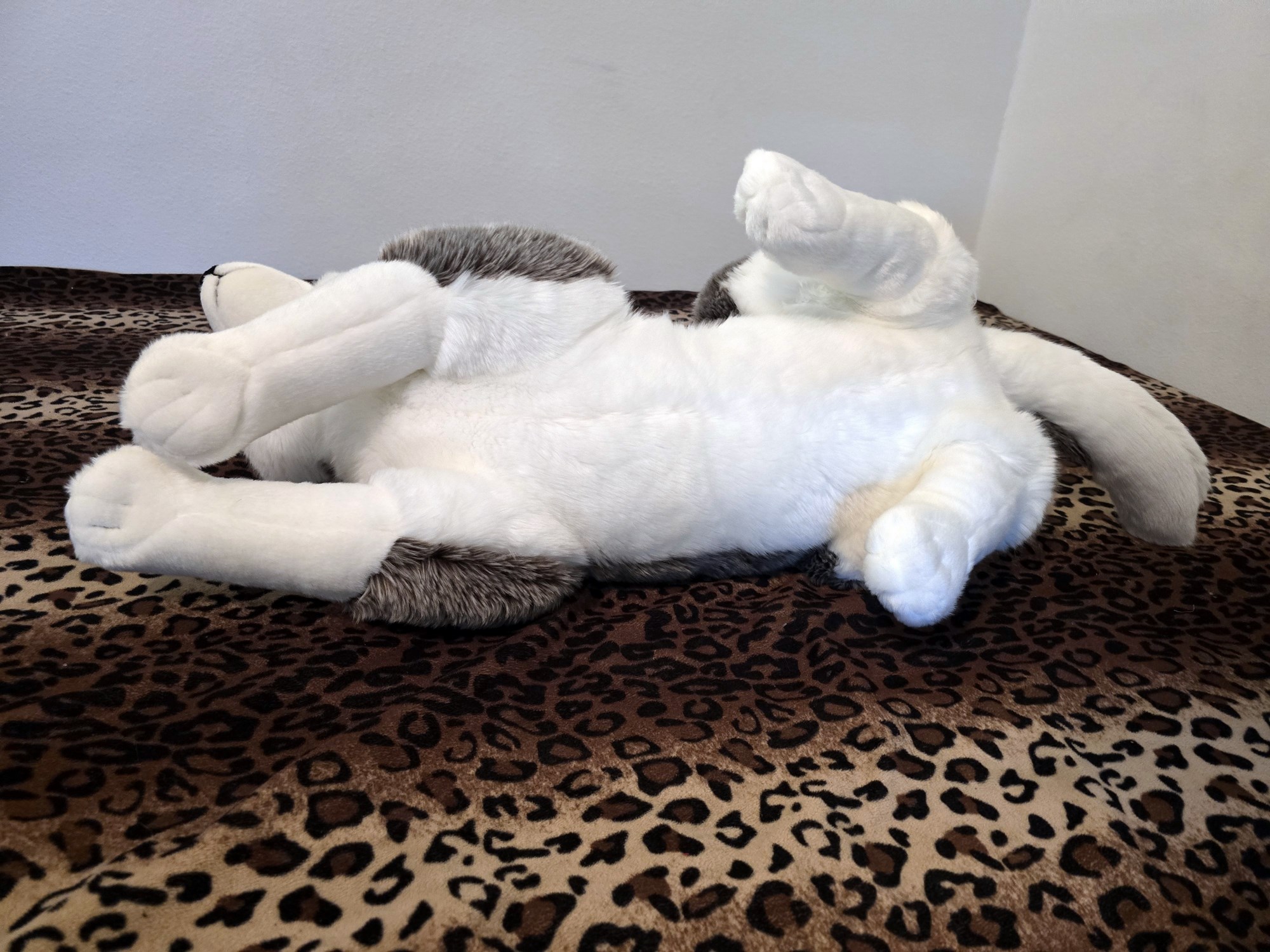 20250305_151102 (Copy)