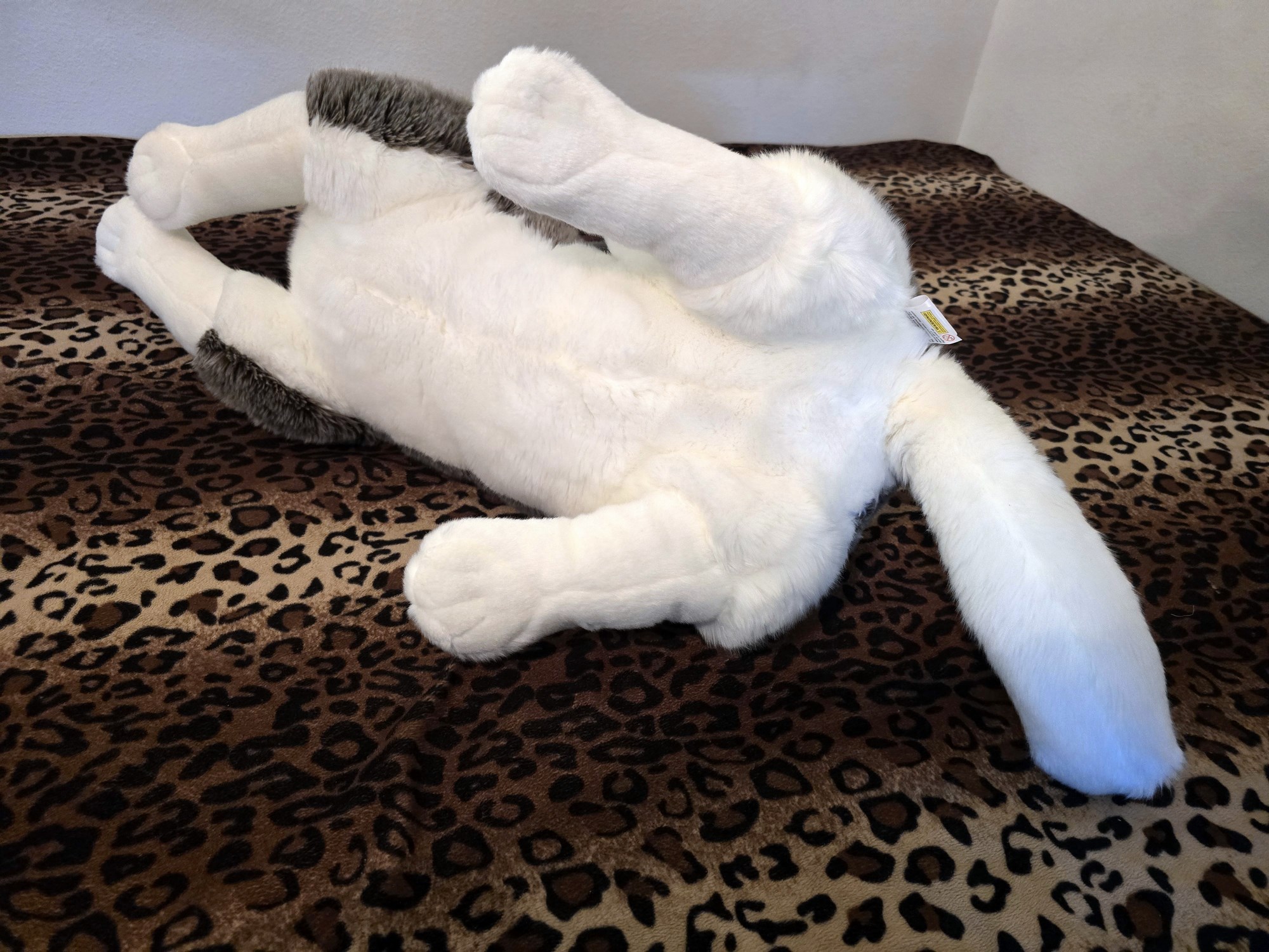 20250305_151116 (Copy)