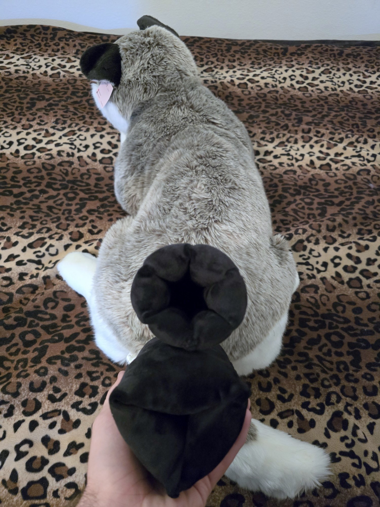 20250306_101100 (Copy)