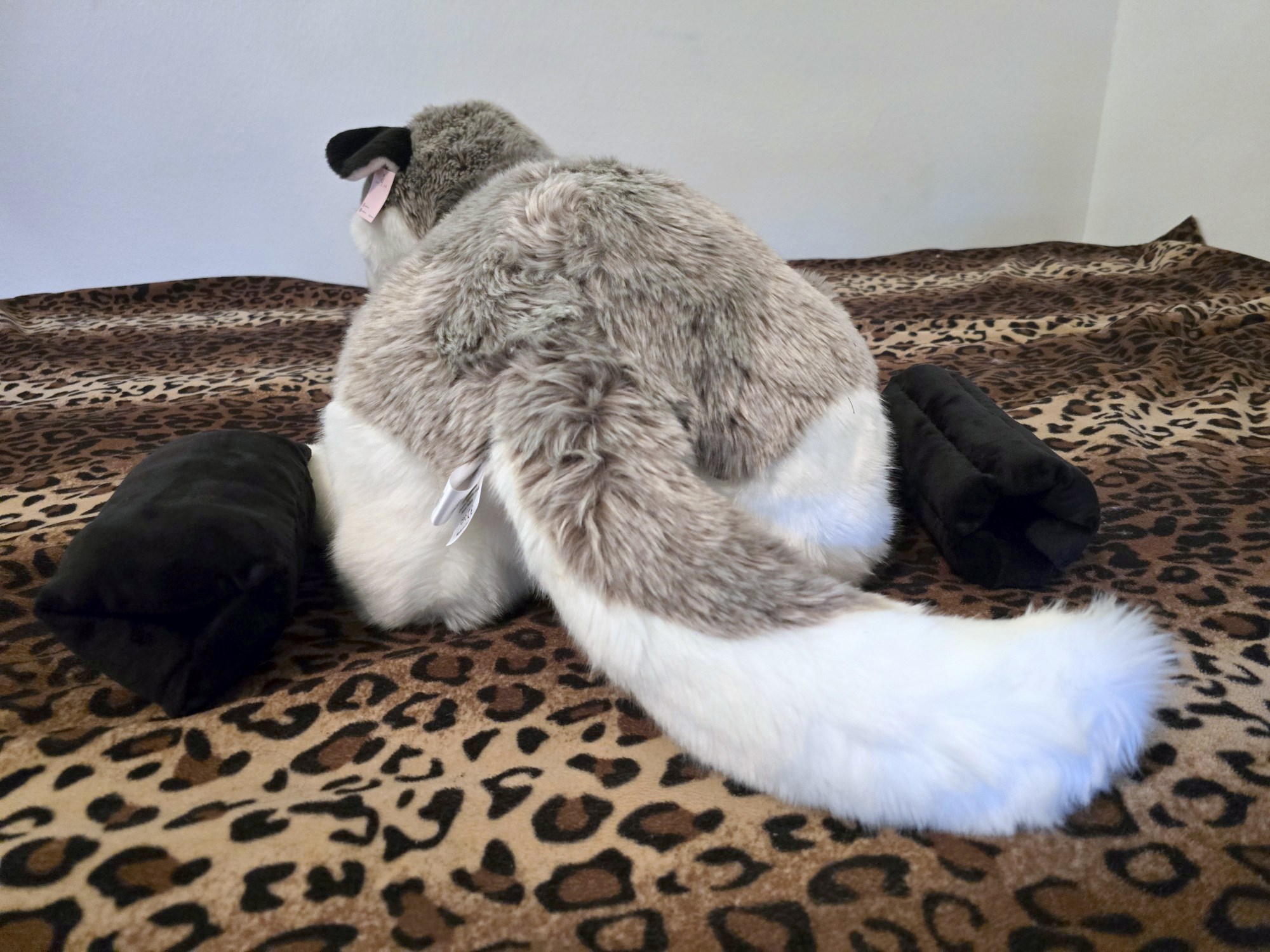 20250306_102157 (Copy)