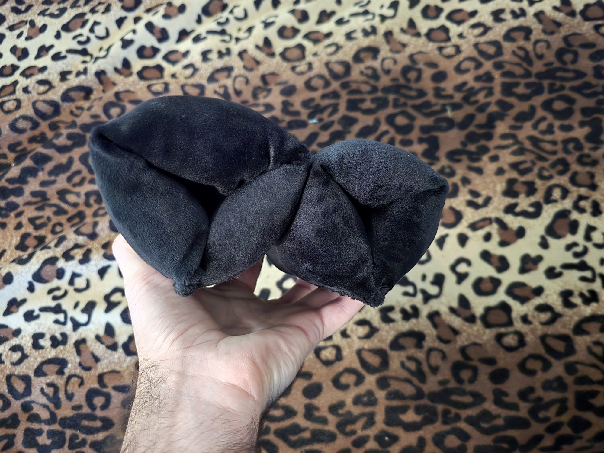 20250306_102338 (Copy)