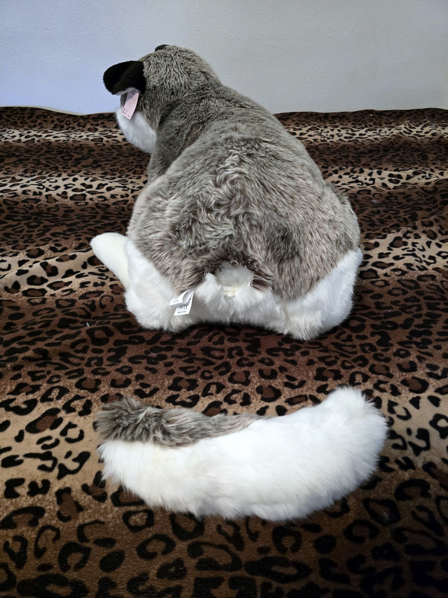 20250306_102919 (Copy)