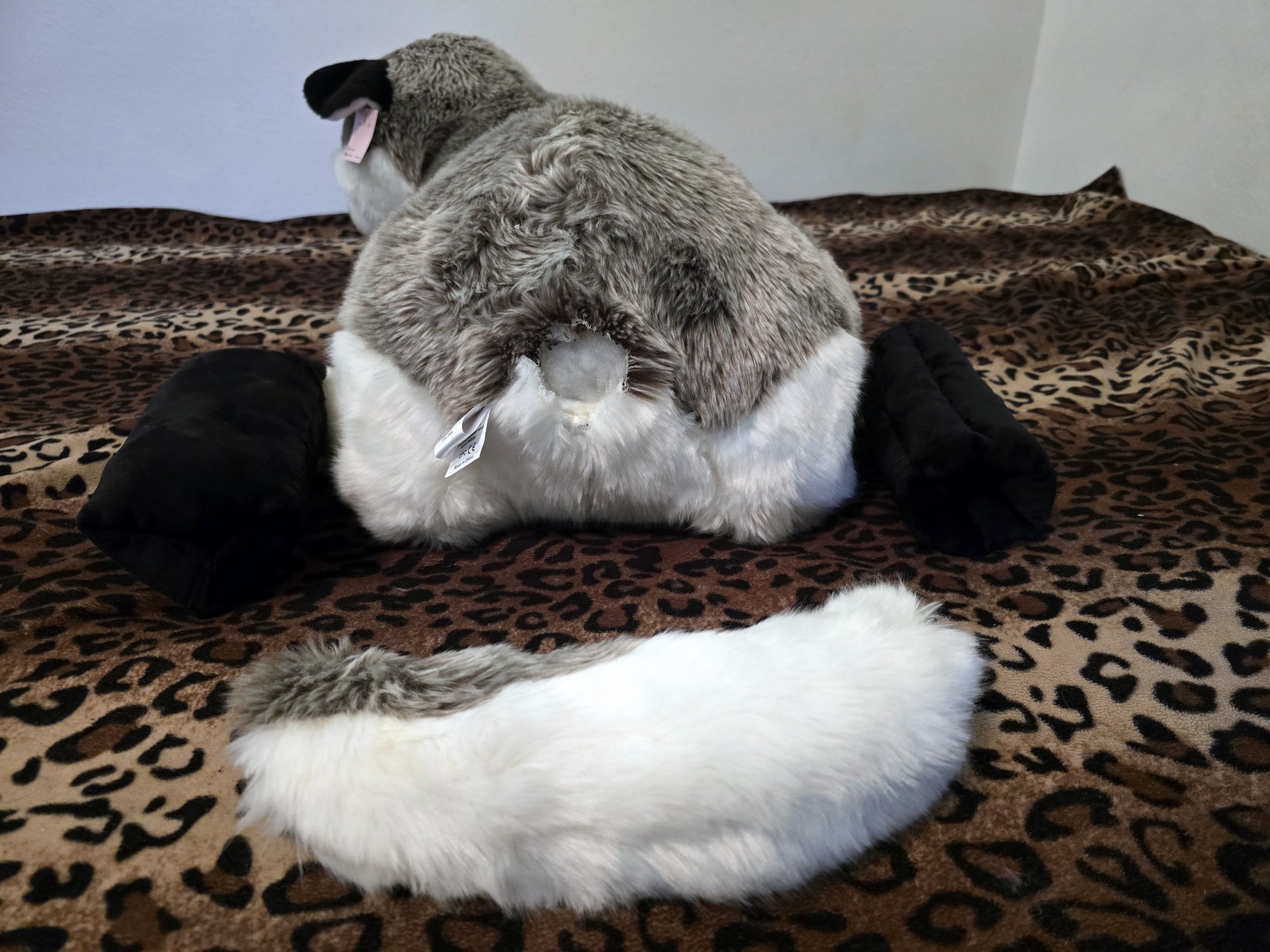 20250306_102936 (Copy)