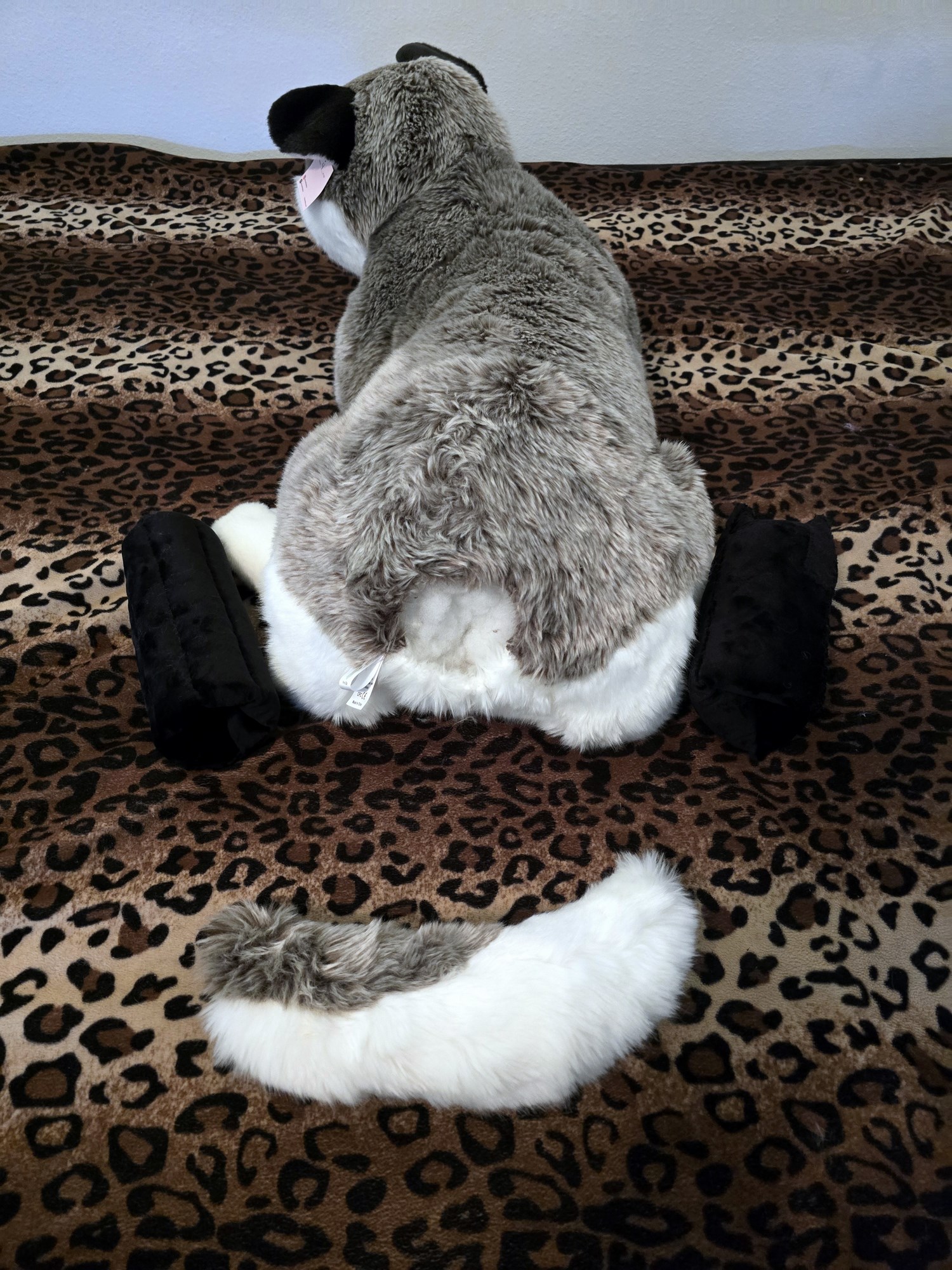 20250306_111404 (Copy)