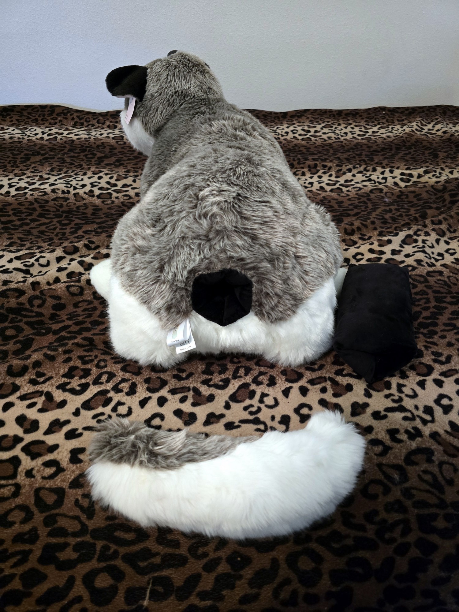 20250306_120310 (Copy)