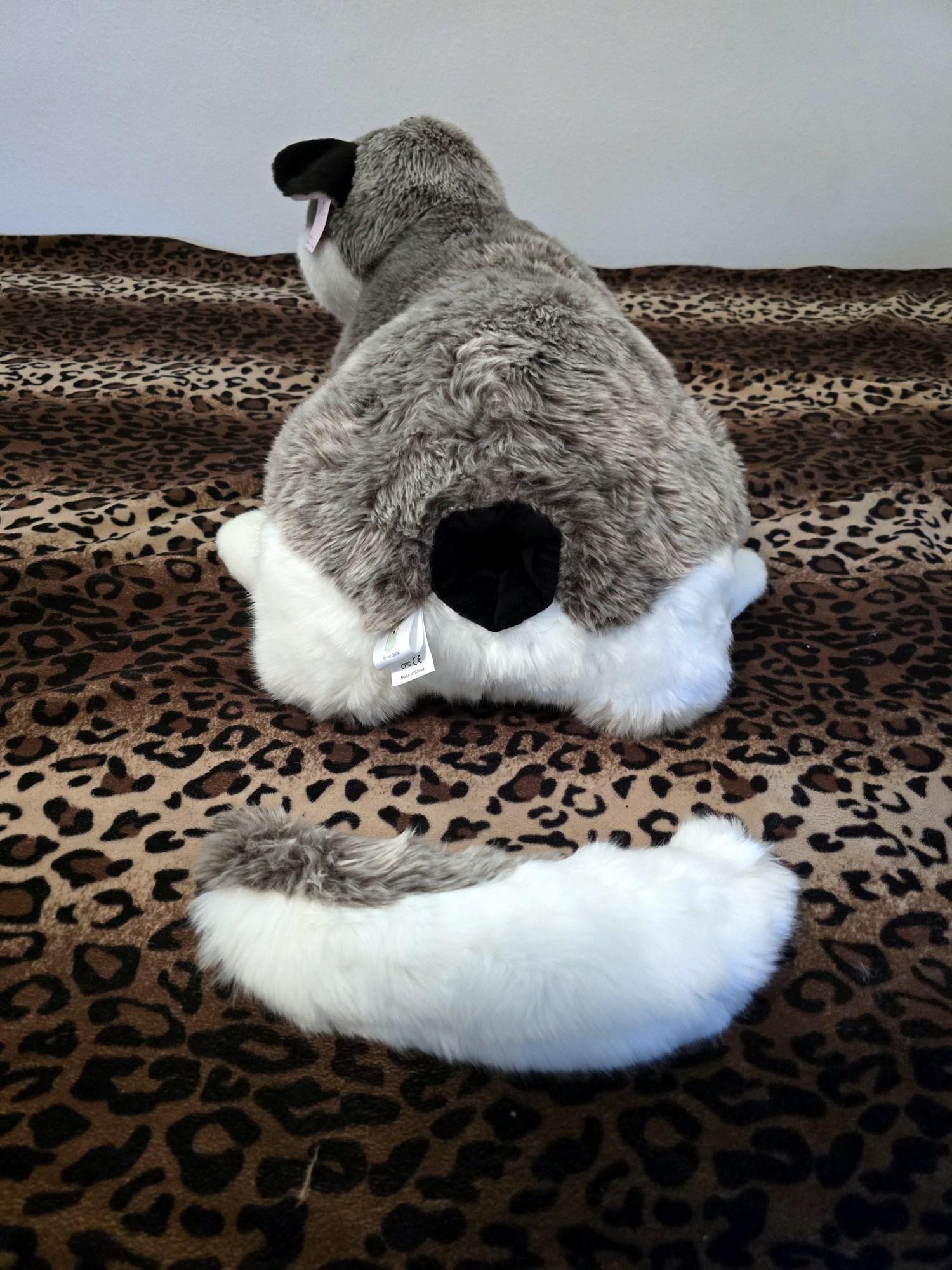 20250306_120314 (Copy)