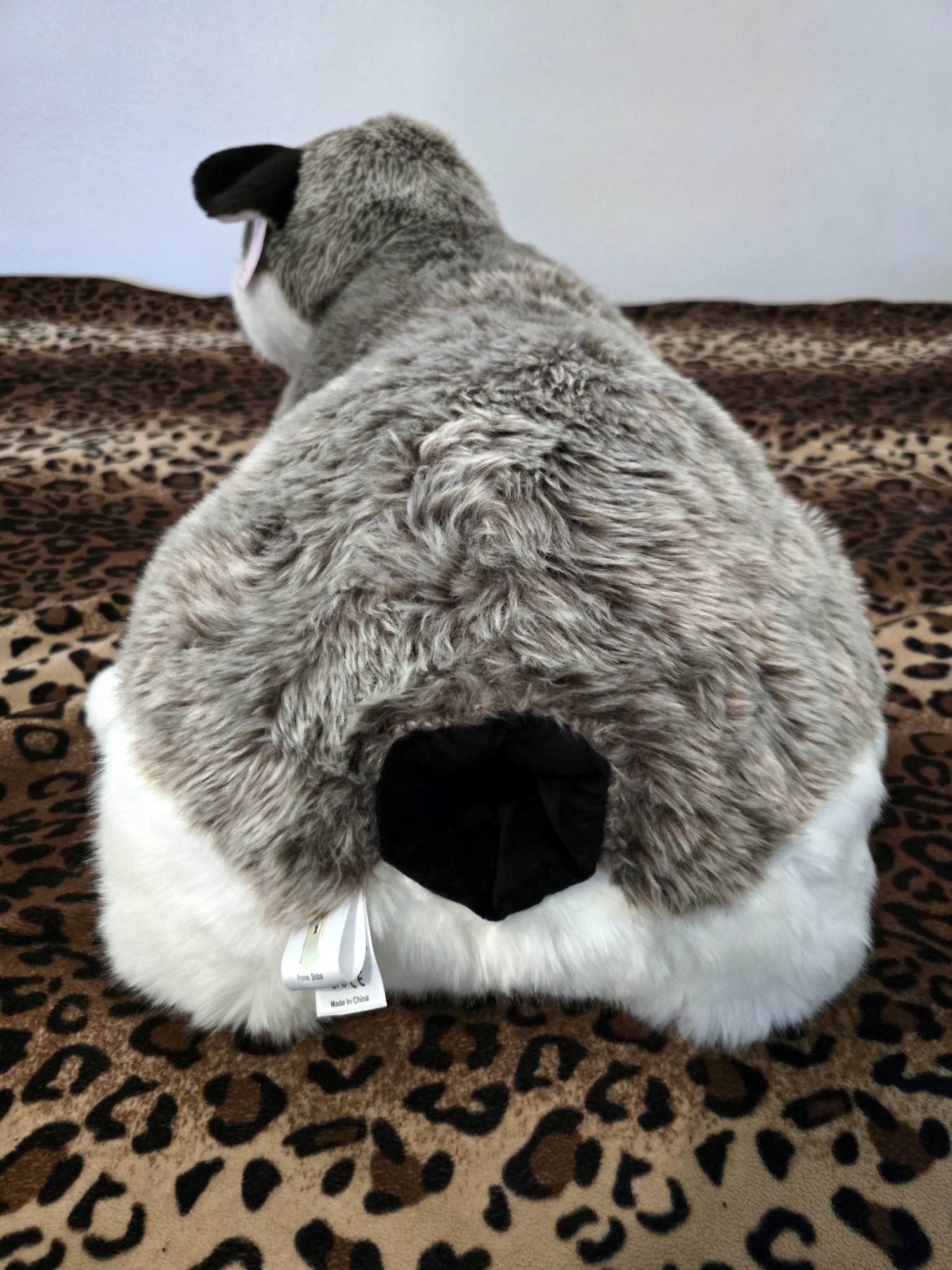 20250306_120319 (Copy)