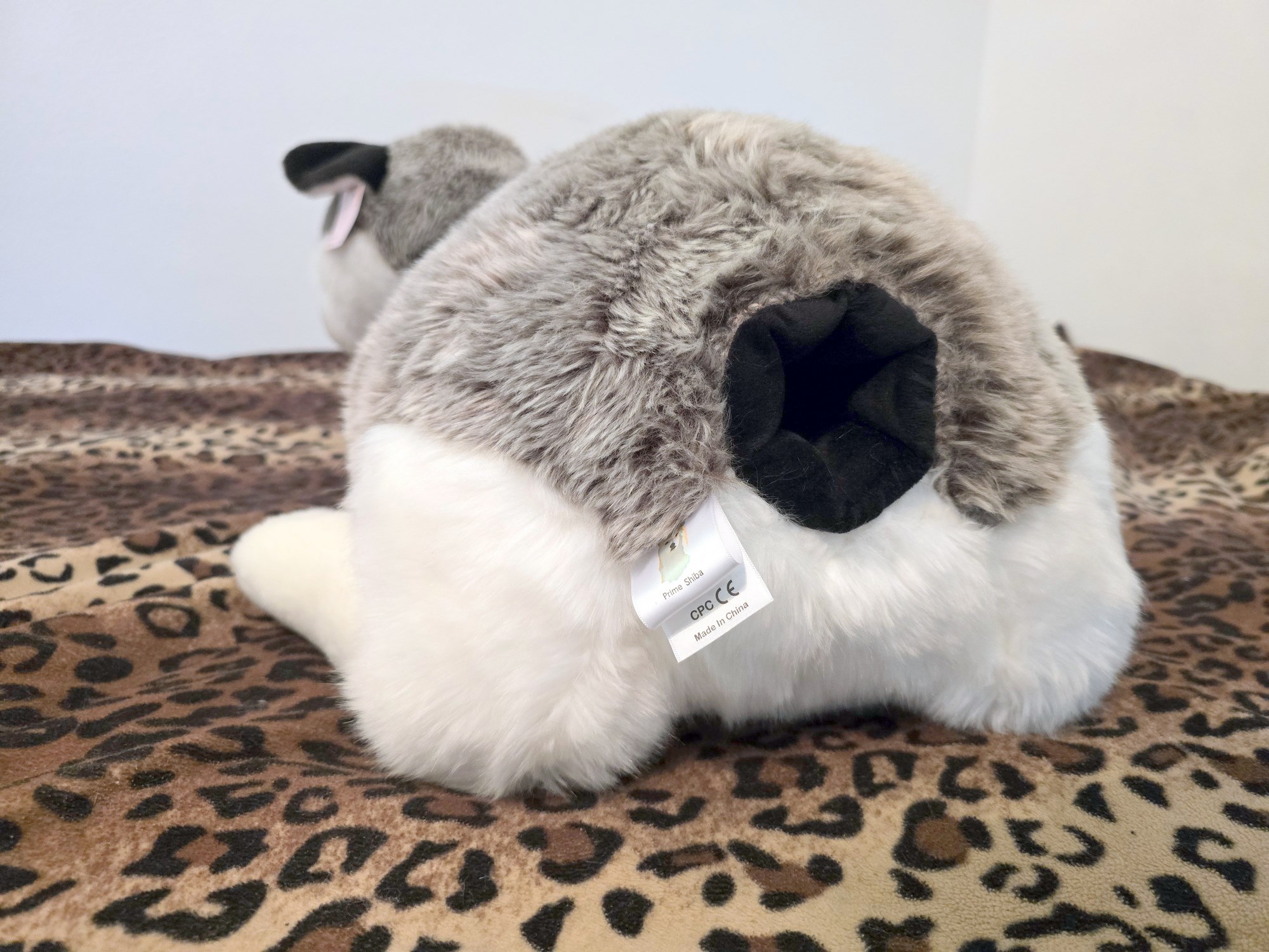 20250306_120324 (Copy)