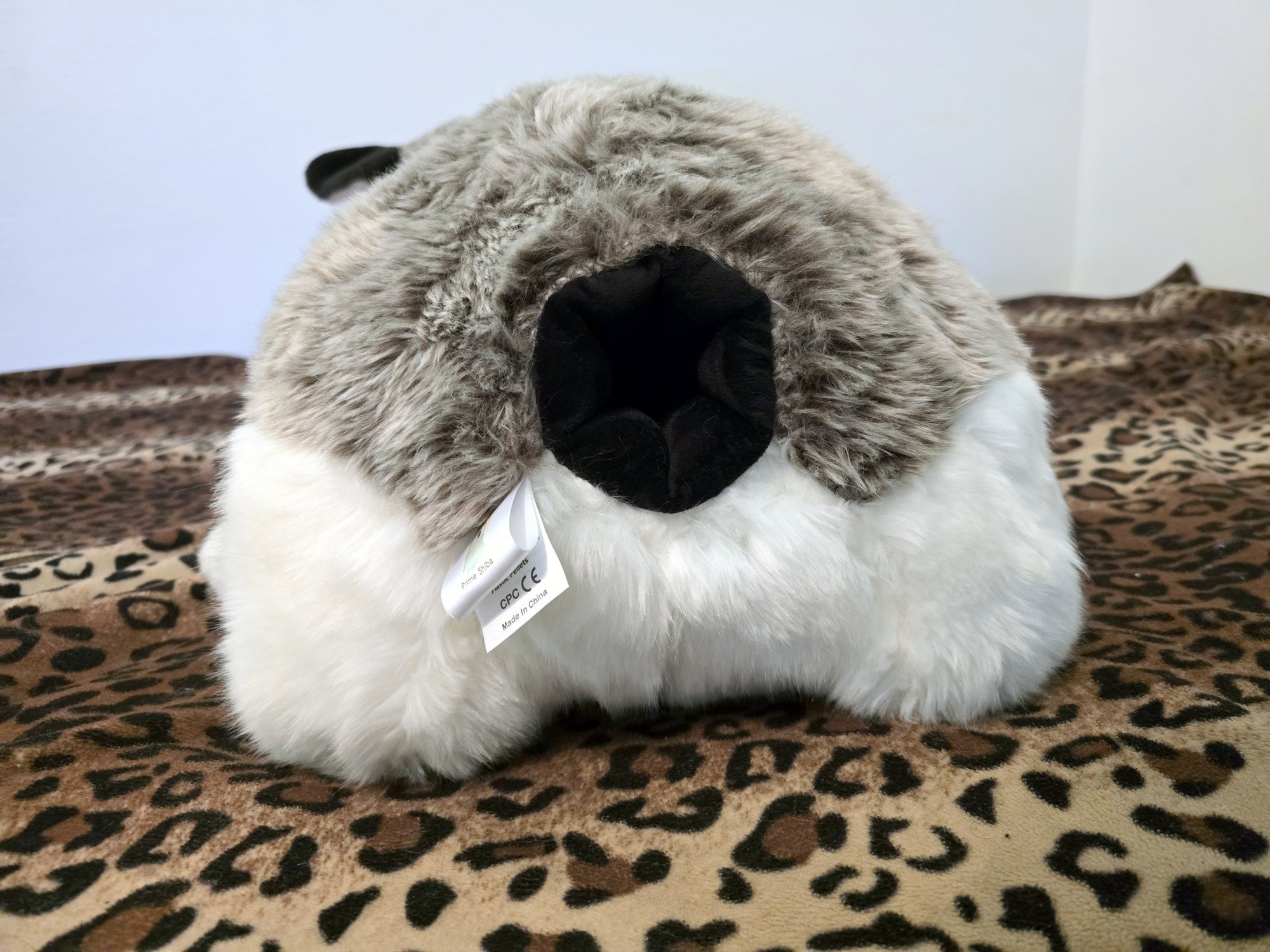 20250306_120326 (Copy)