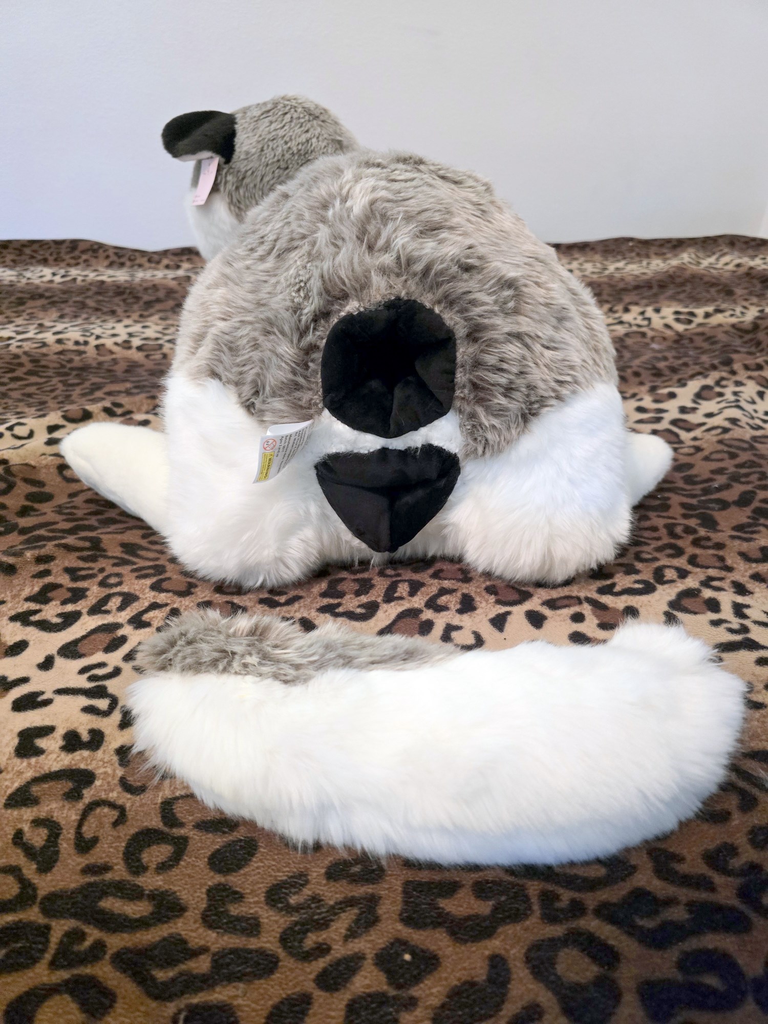 20250306_130832 (Copy)