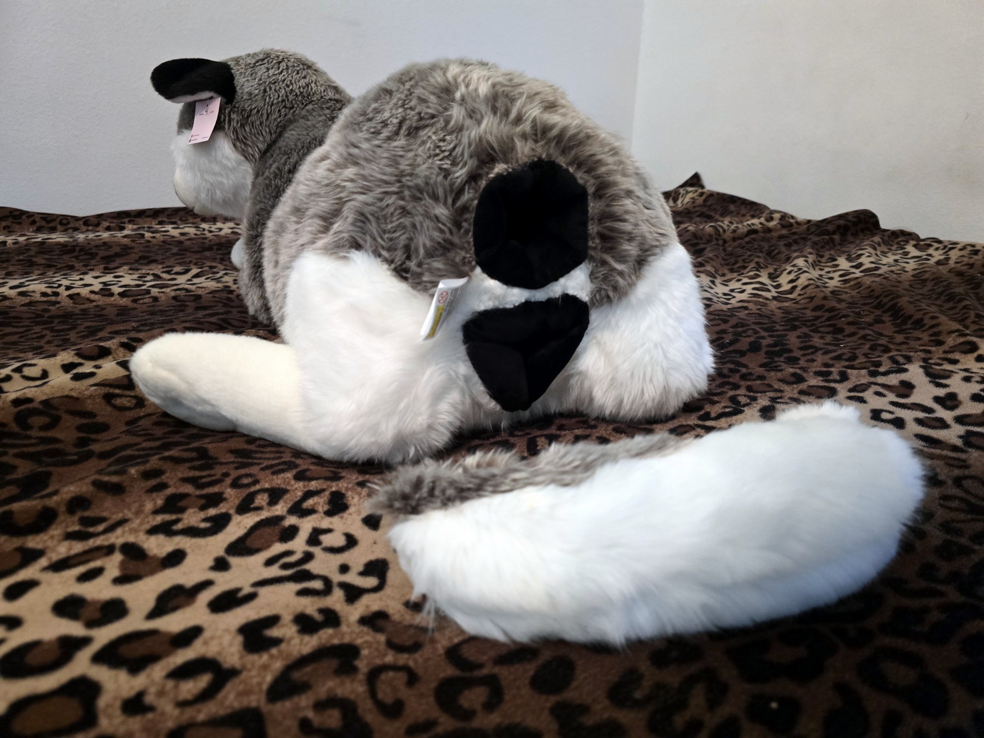 20250306_130837 (Copy)