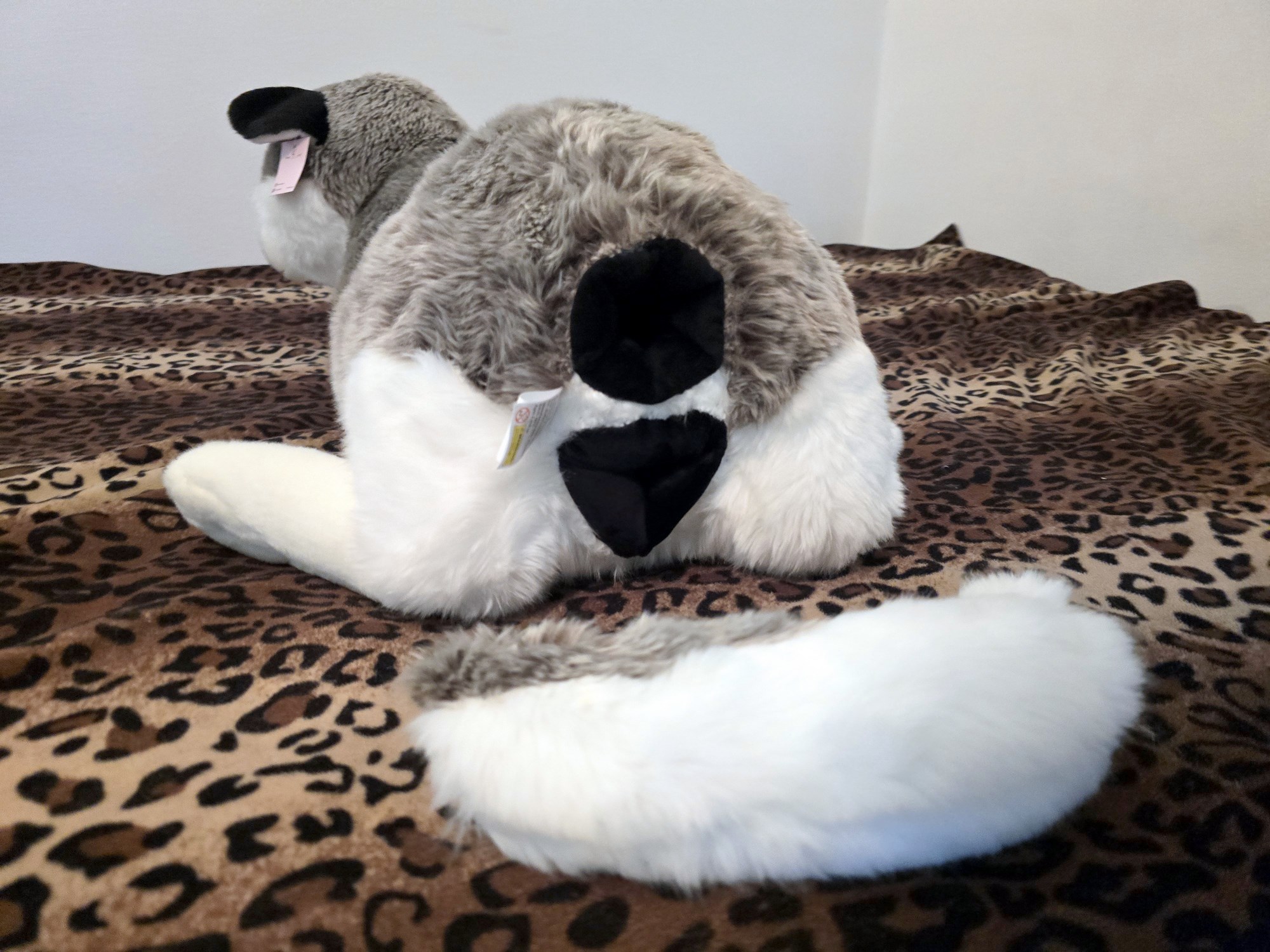 20250306_130839 (Copy)