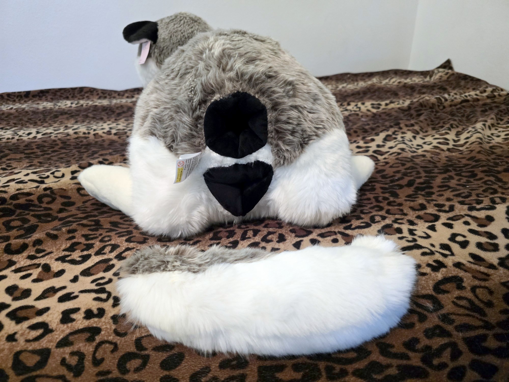 20250306_130840 (Copy)