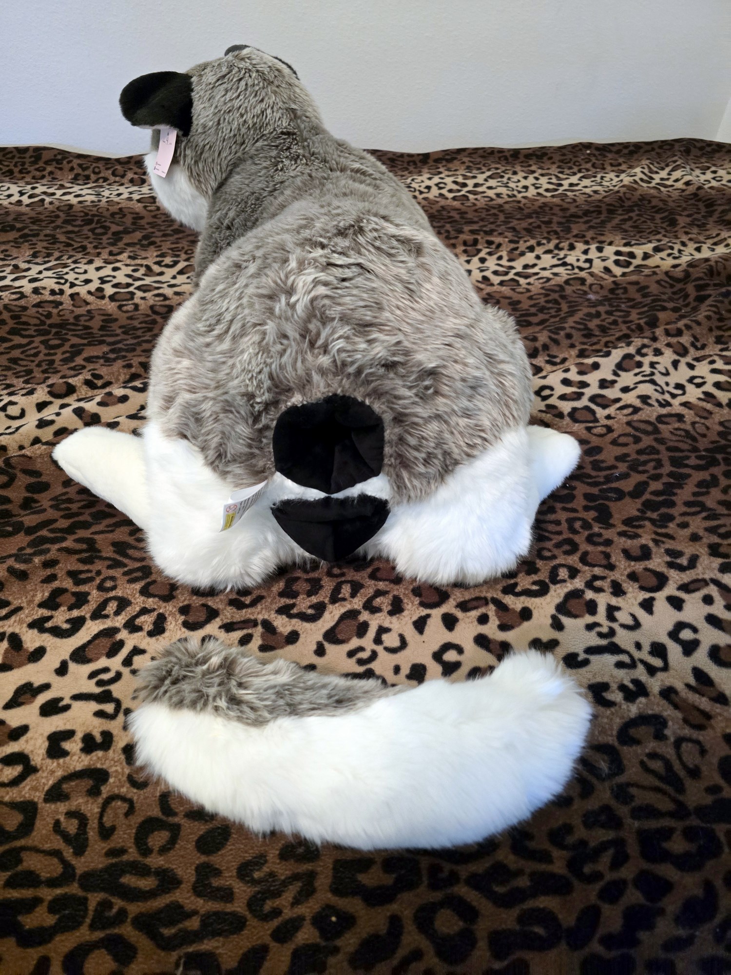 20250306_130844 (Copy)