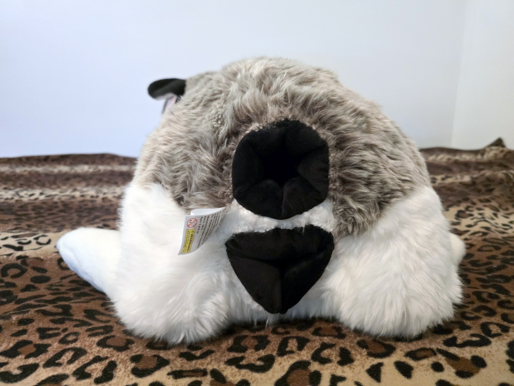 20250306_130920 (Copy)