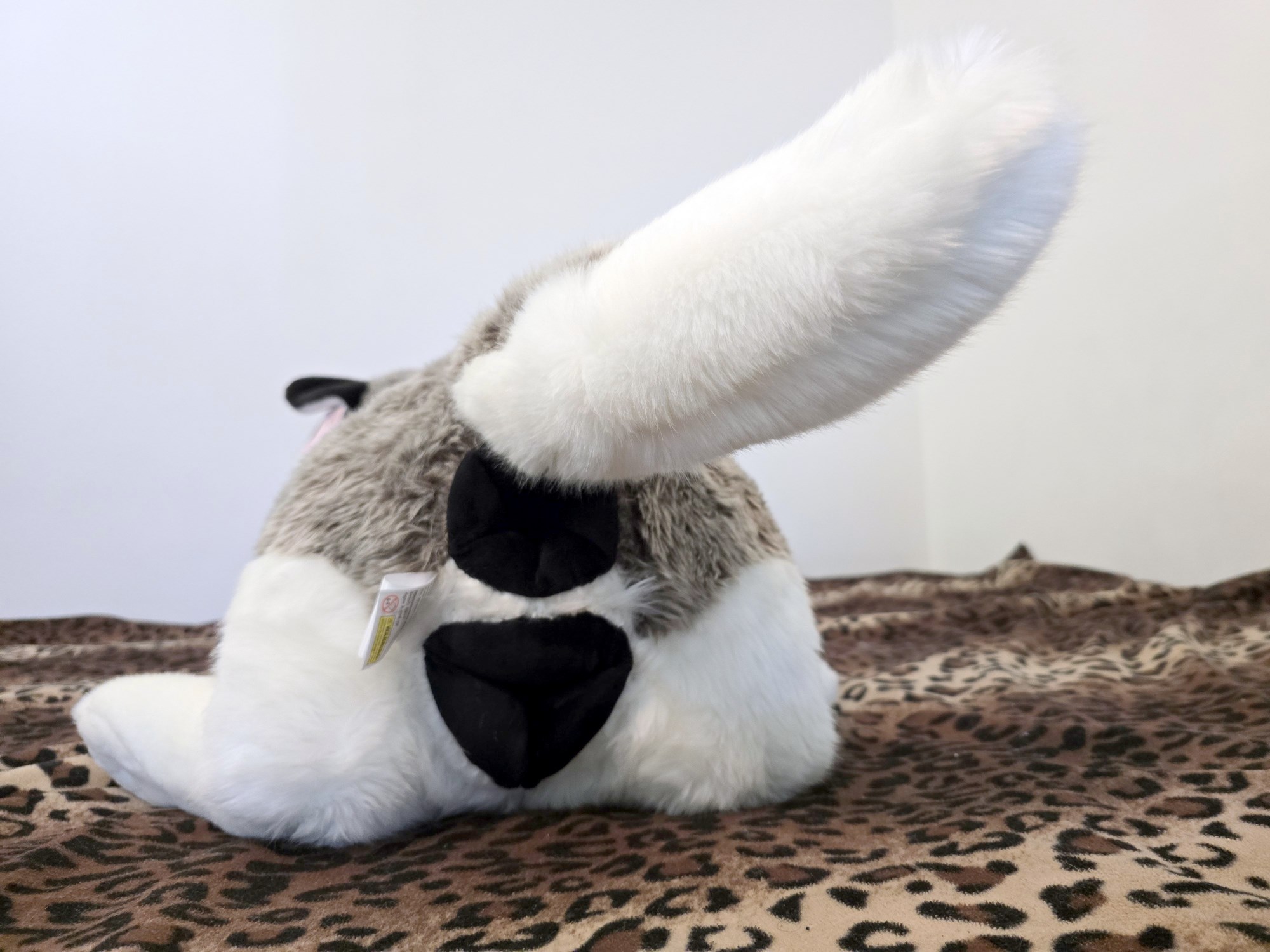 20250306_141204 (Copy)