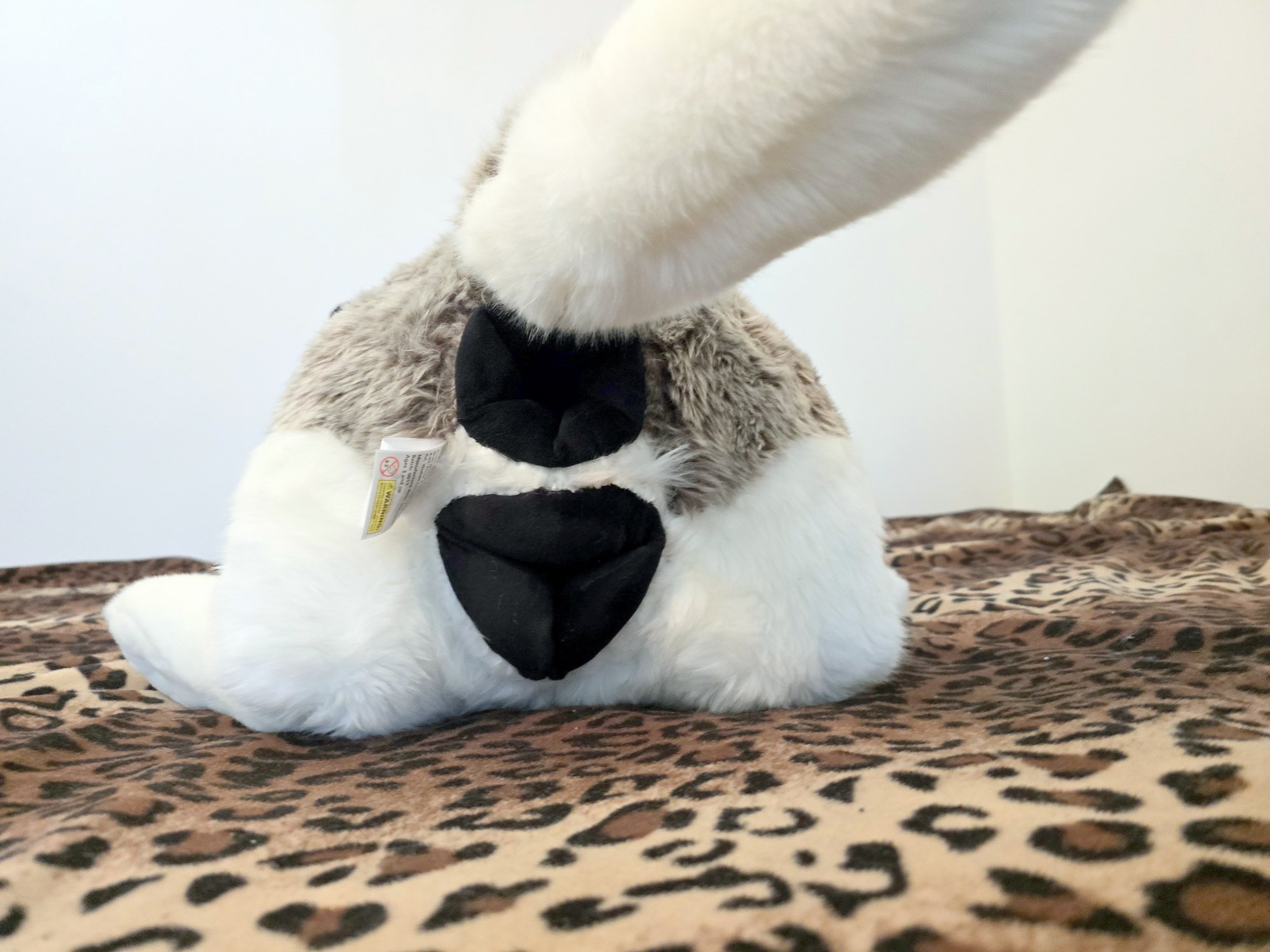 20250306_141205 (Copy)