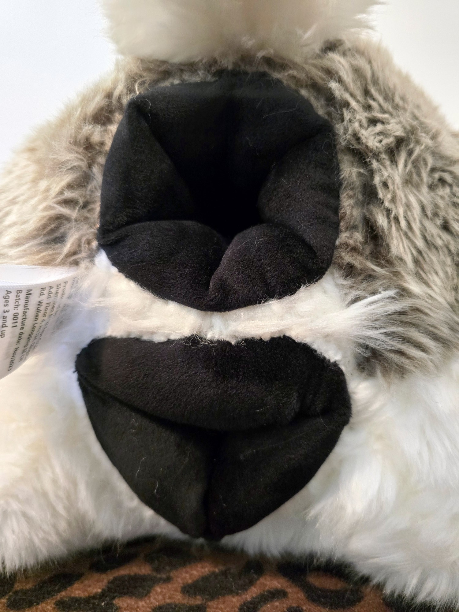 20250306_141211 (Copy)