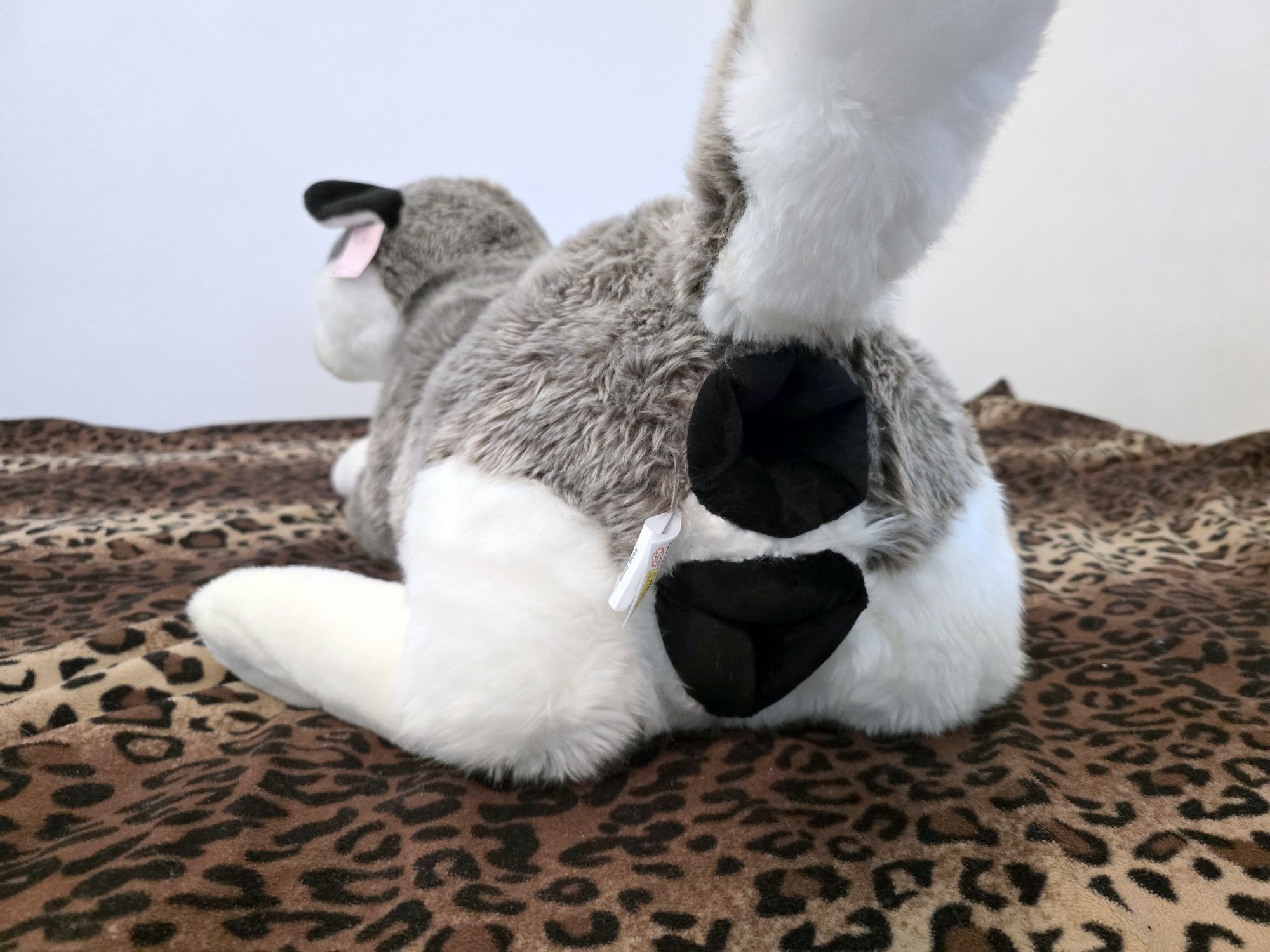 20250306_141216 (Copy)