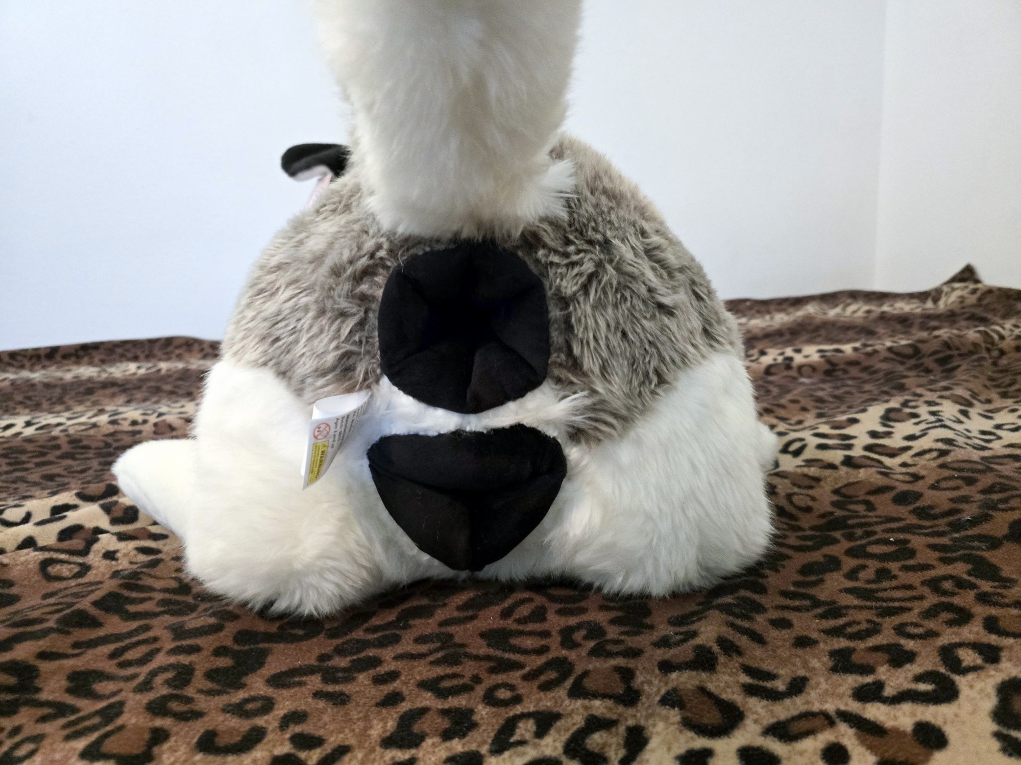 20250306_141218 (Copy)