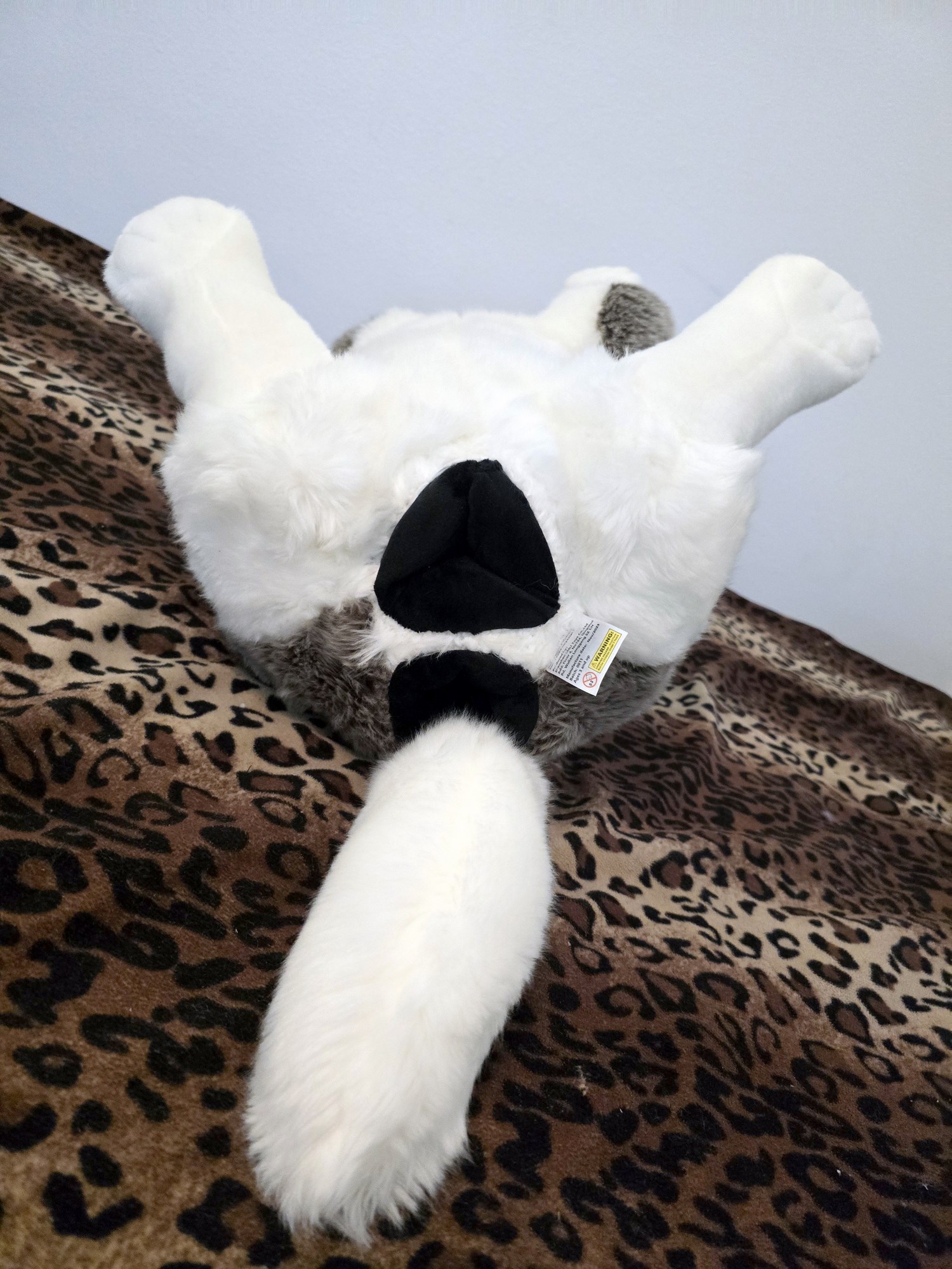 20250306_141238 (Copy)