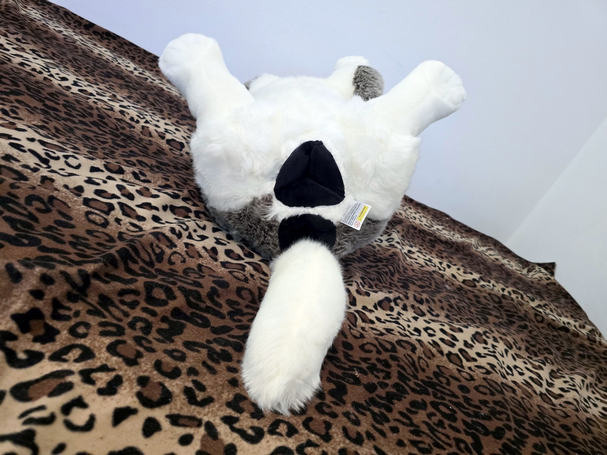 20250306_141239 (Copy)