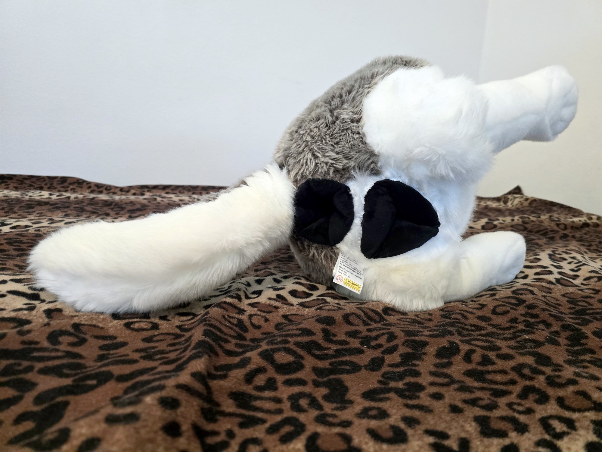 20250306_141243 (Copy)