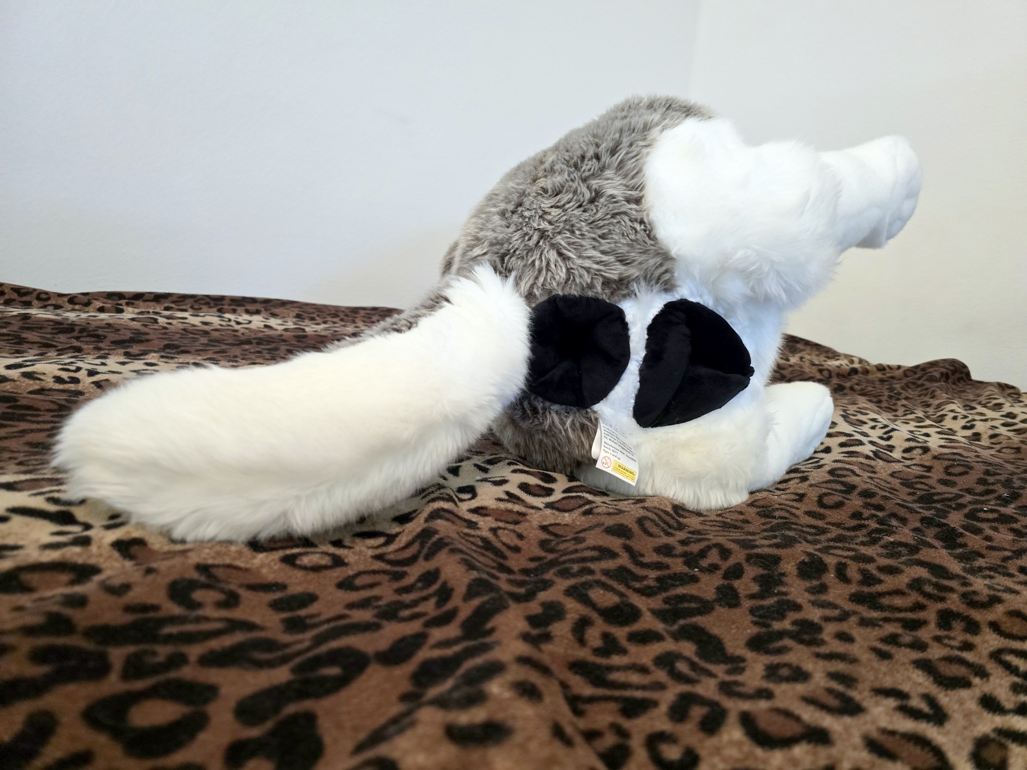 20250306_141244(0) (Copy)