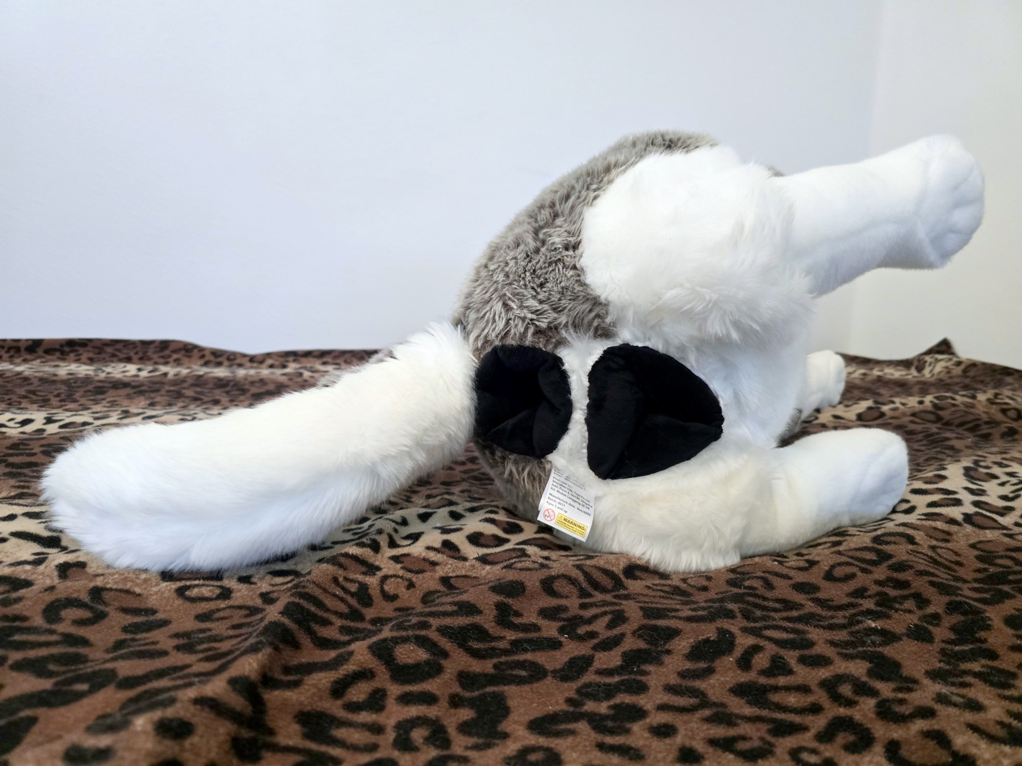 20250306_141246 (Copy)