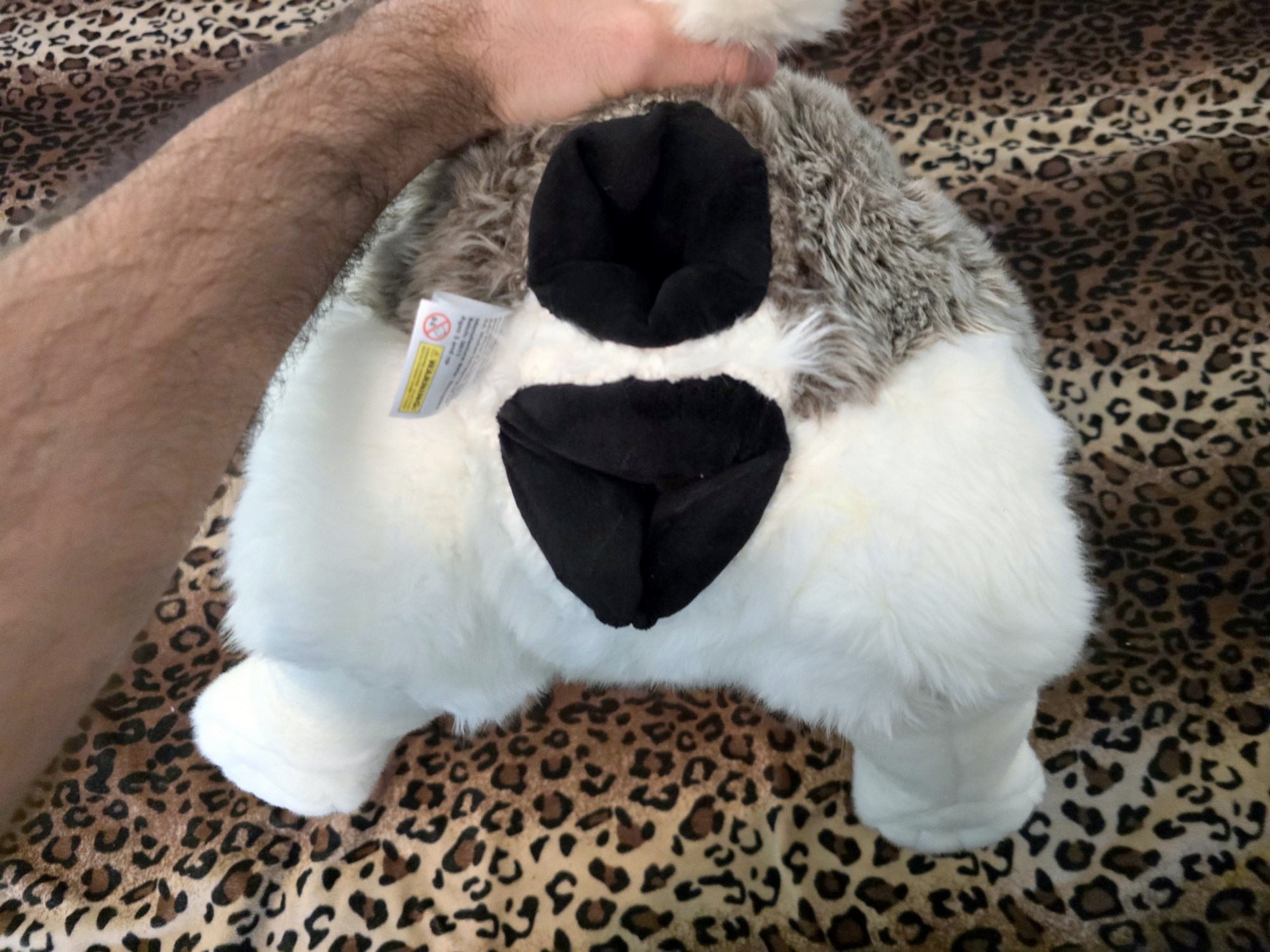 20250306_141259 (Copy)