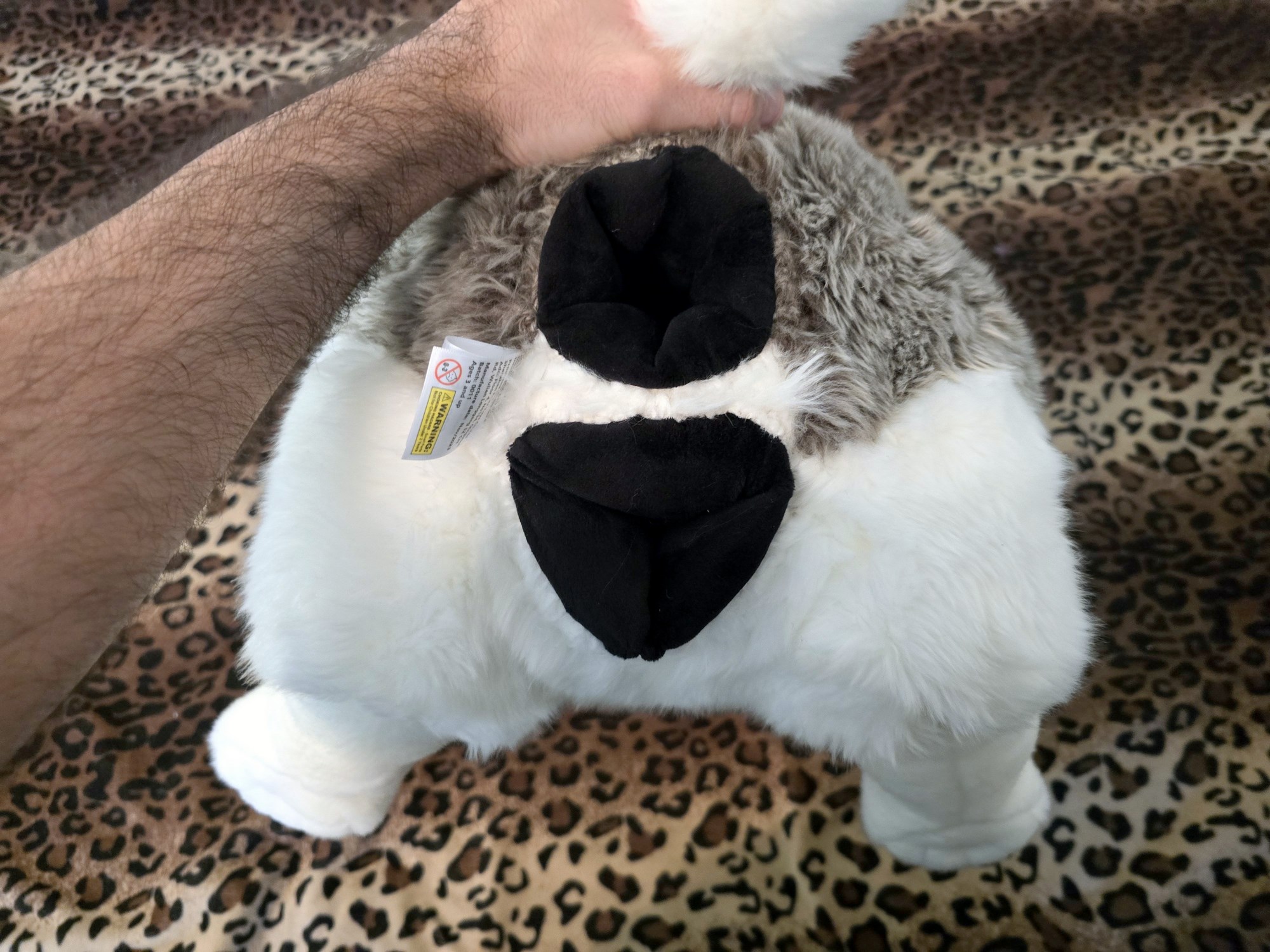 20250306_141301 (Copy)