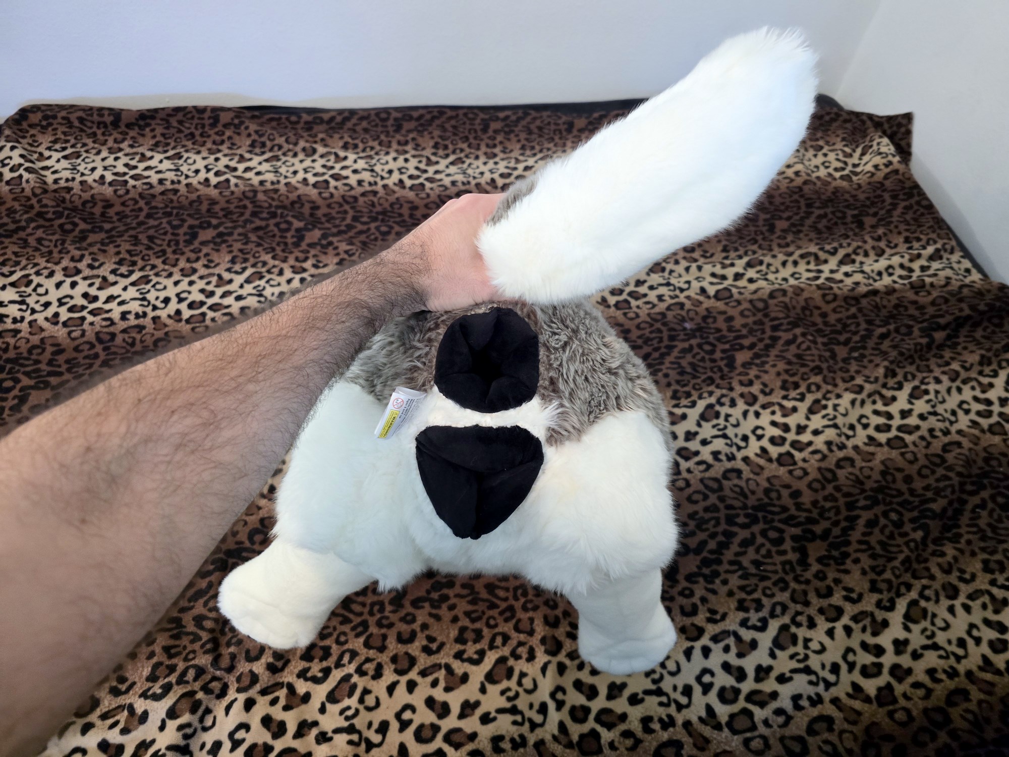 20250306_141304 (Copy)